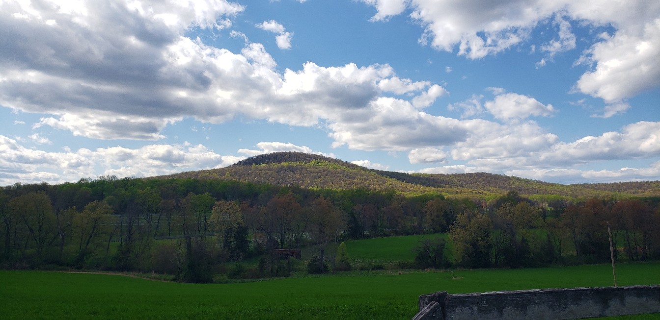  for Clean Cut Lawns & Landscaping in Dickerson, MD