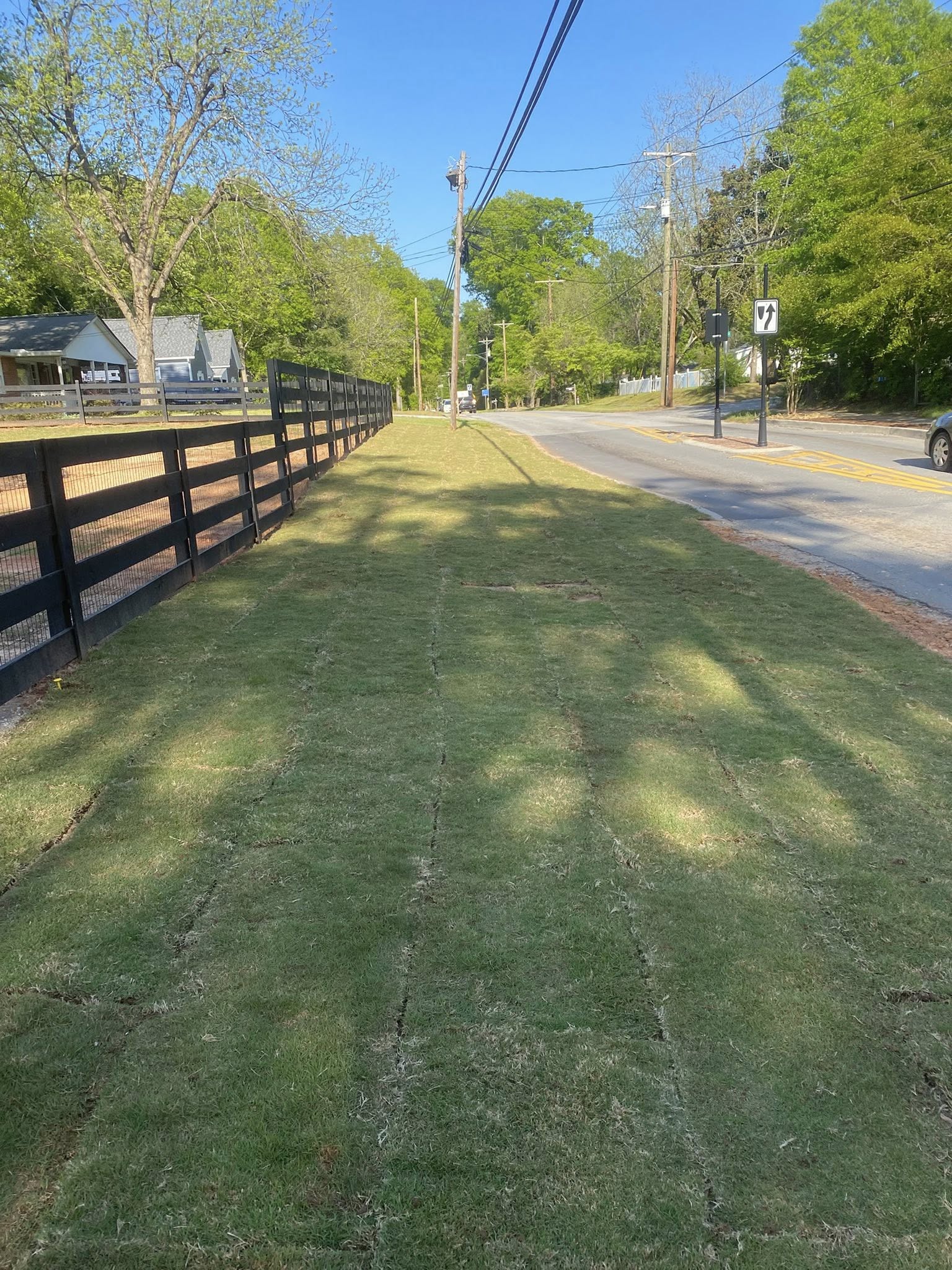  for Castillo’s Lawn Care in Monroe, GA