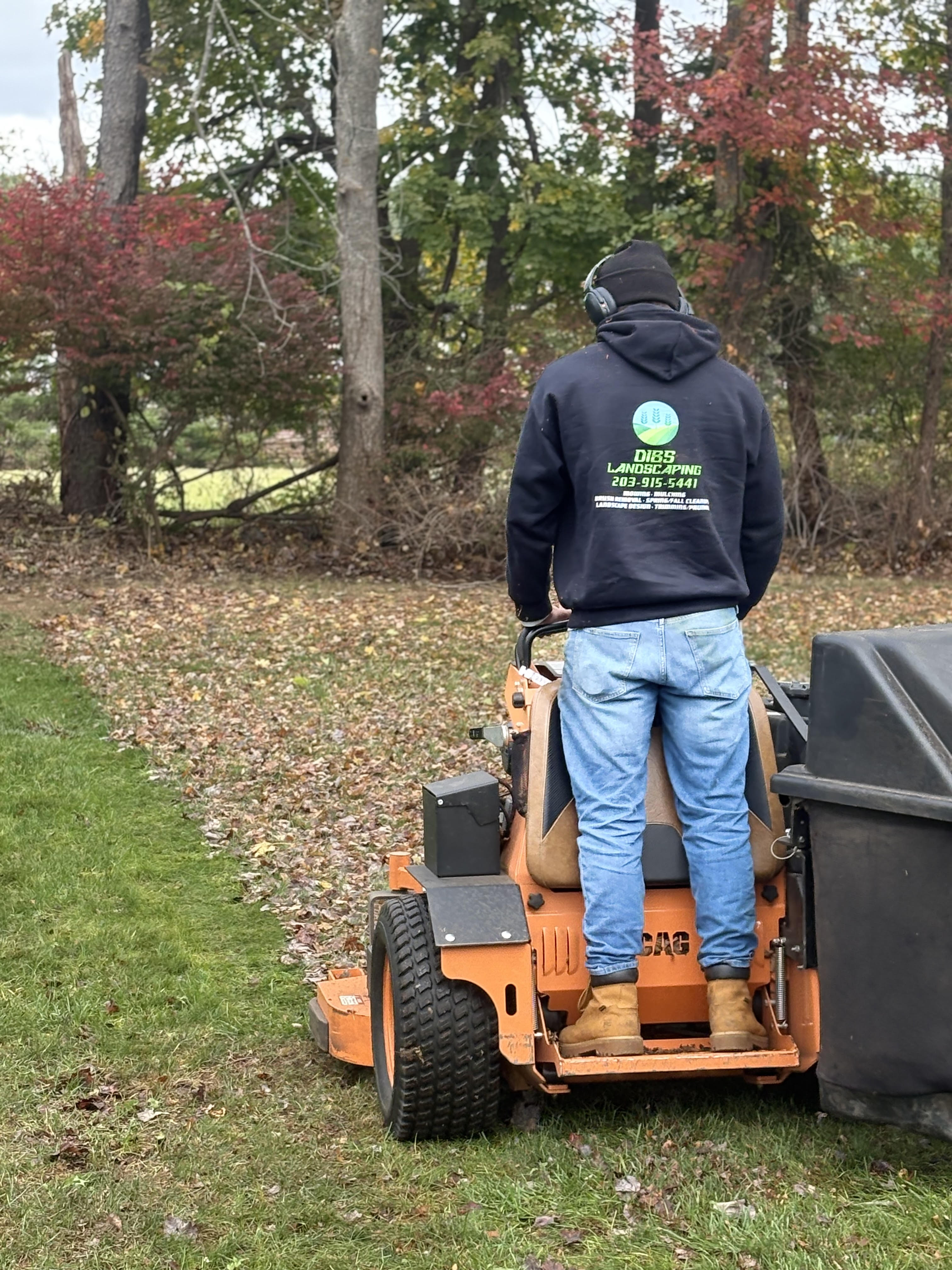 Landscaping & Hardscaping company Dibs Landscaping LLC in Cheshire, CT