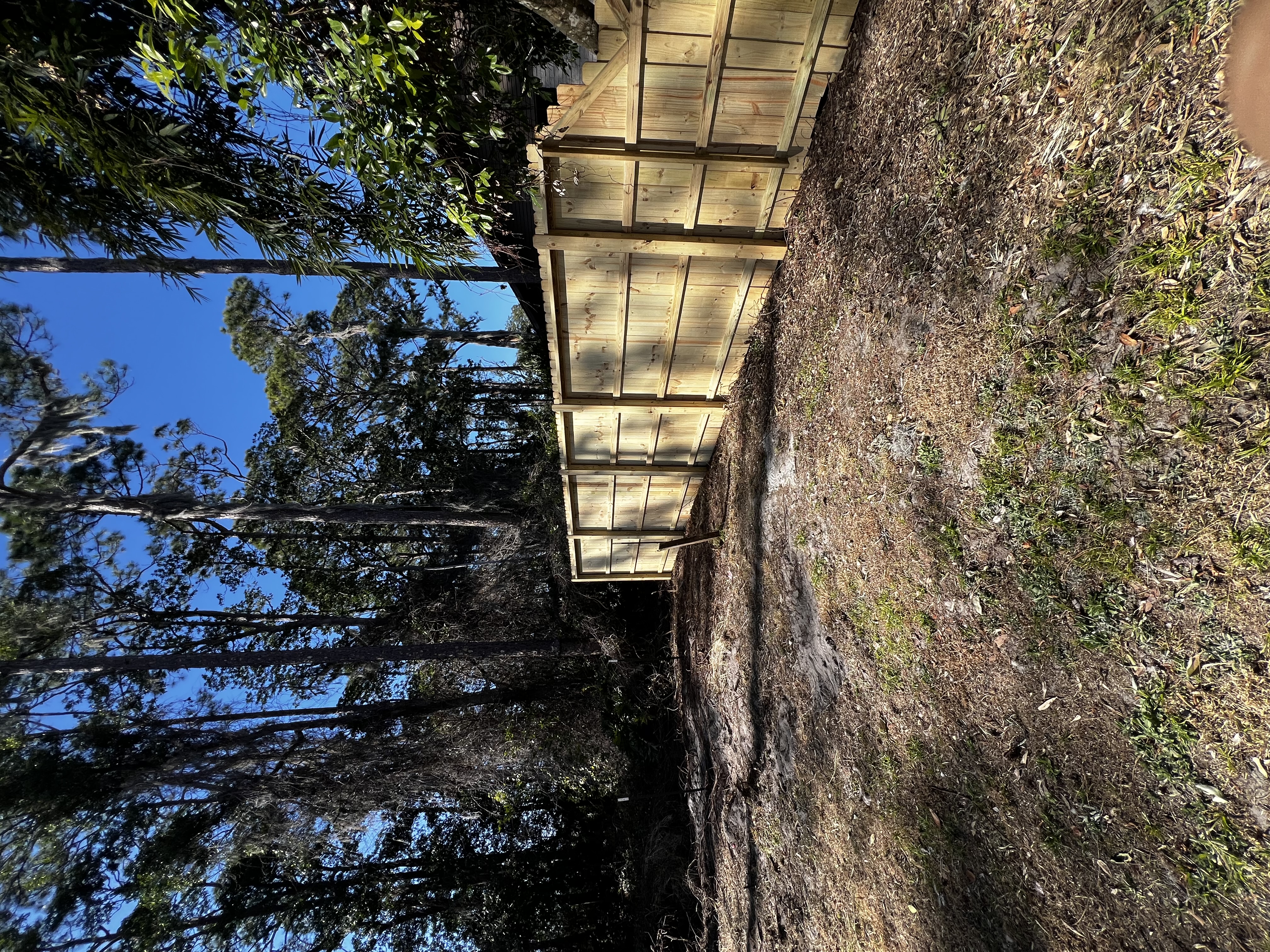  for Browne’s Yard Creations in Fruitland Park, FL