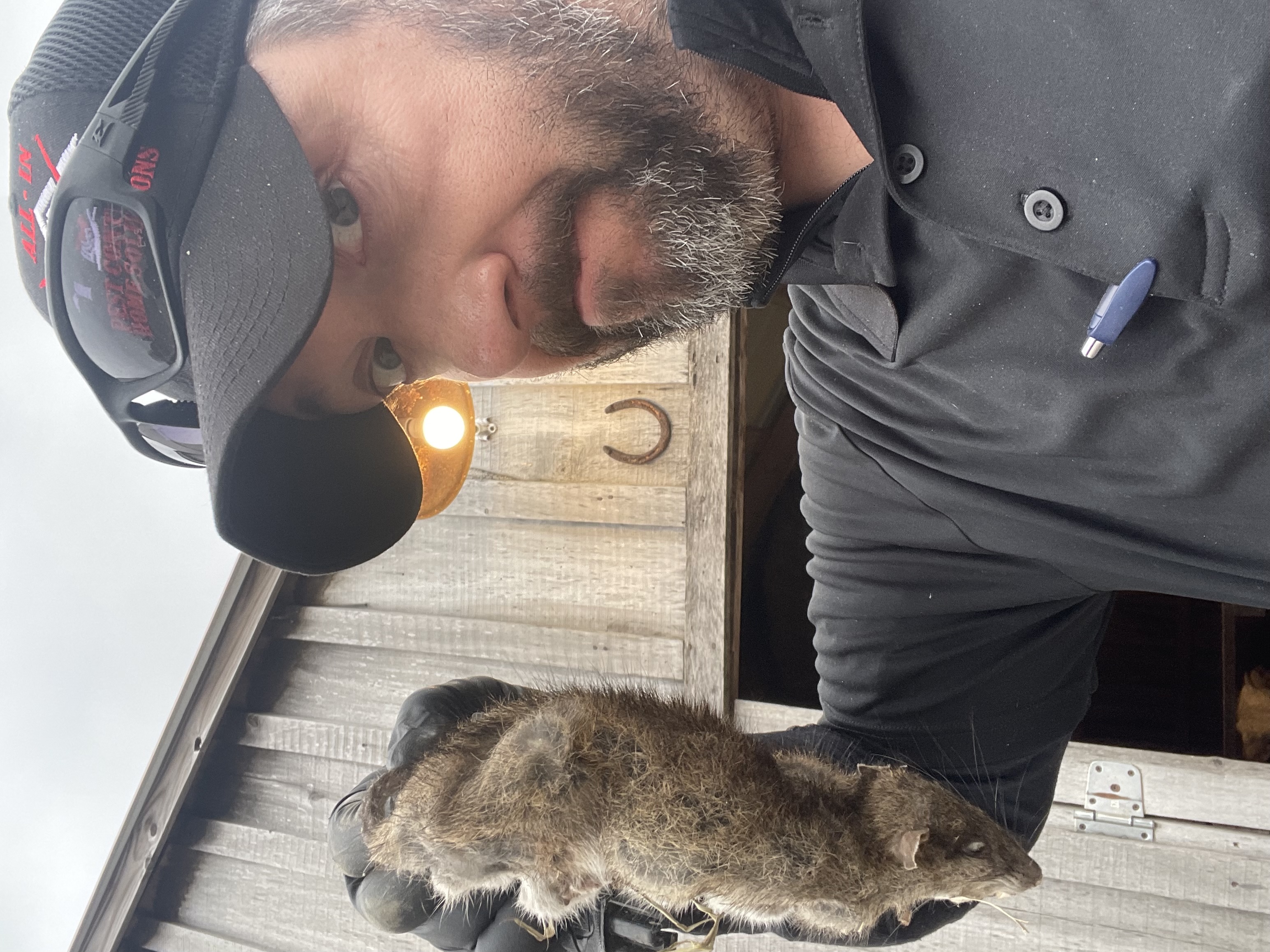  for All-In Pest Control & Home Solutions in Greene County, IN