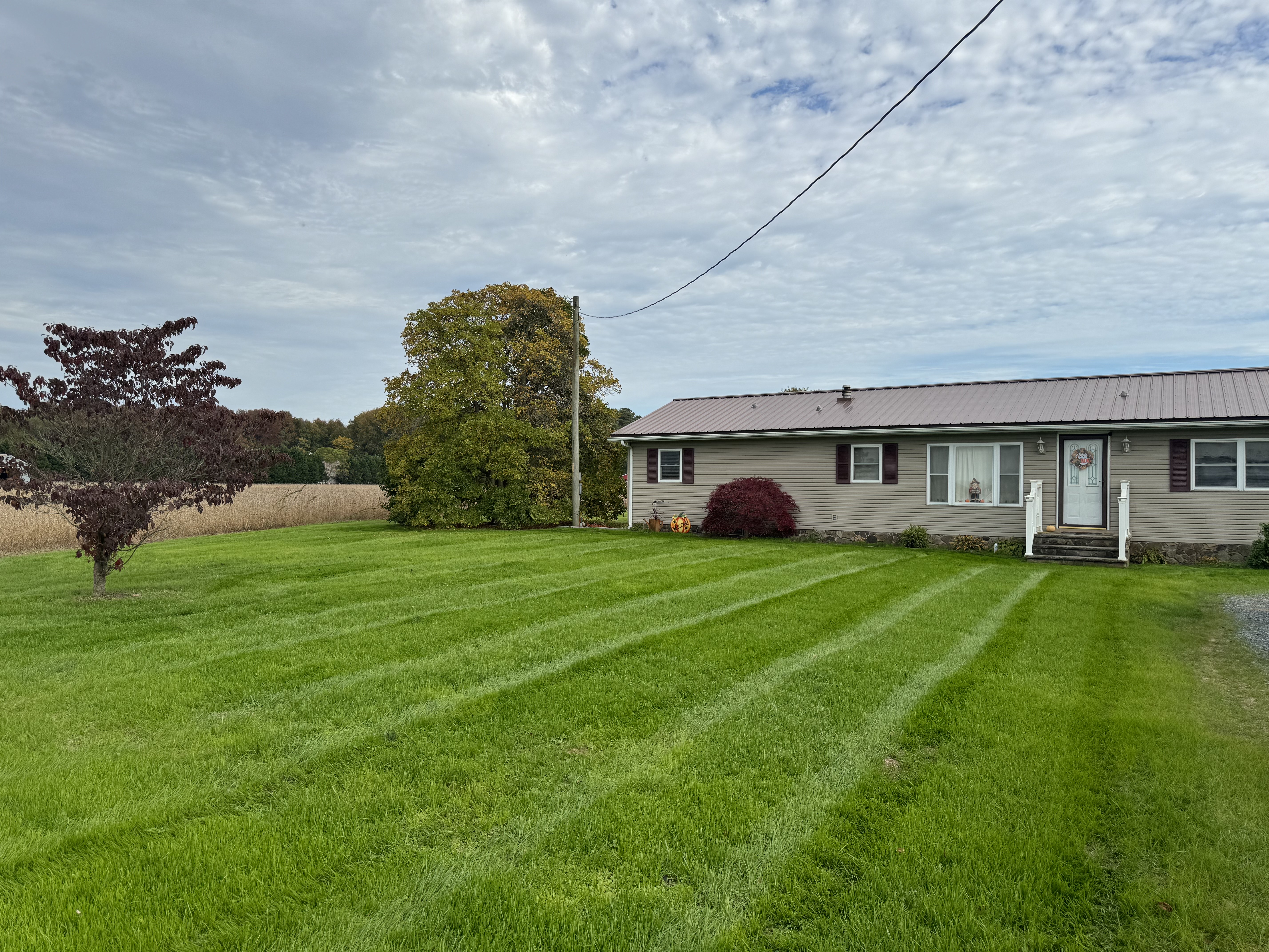  for Solid Ground Outdoor Living Solutions in Seaford, DE