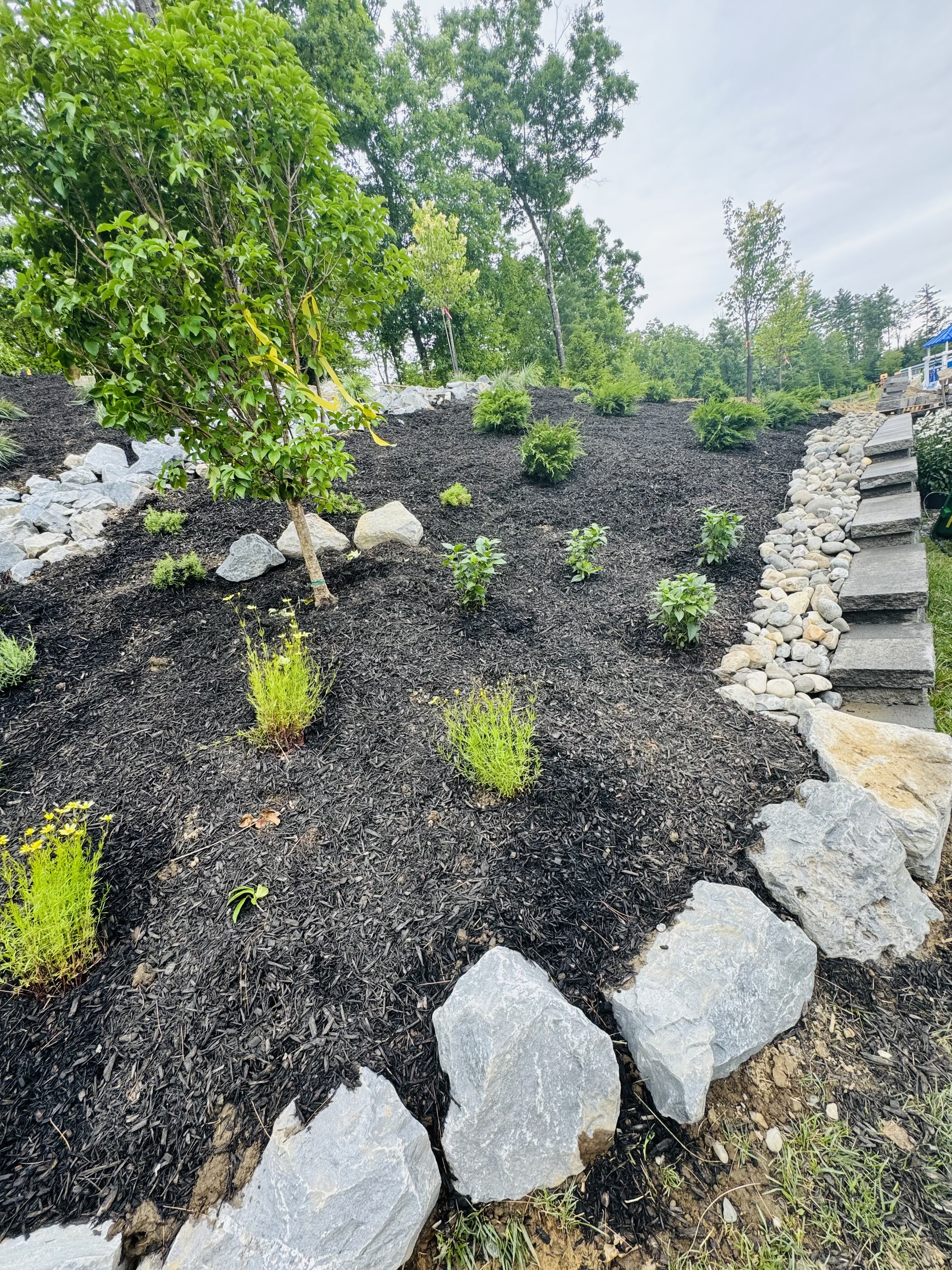  for The Lawn Guy in Saratoga Springs, NY