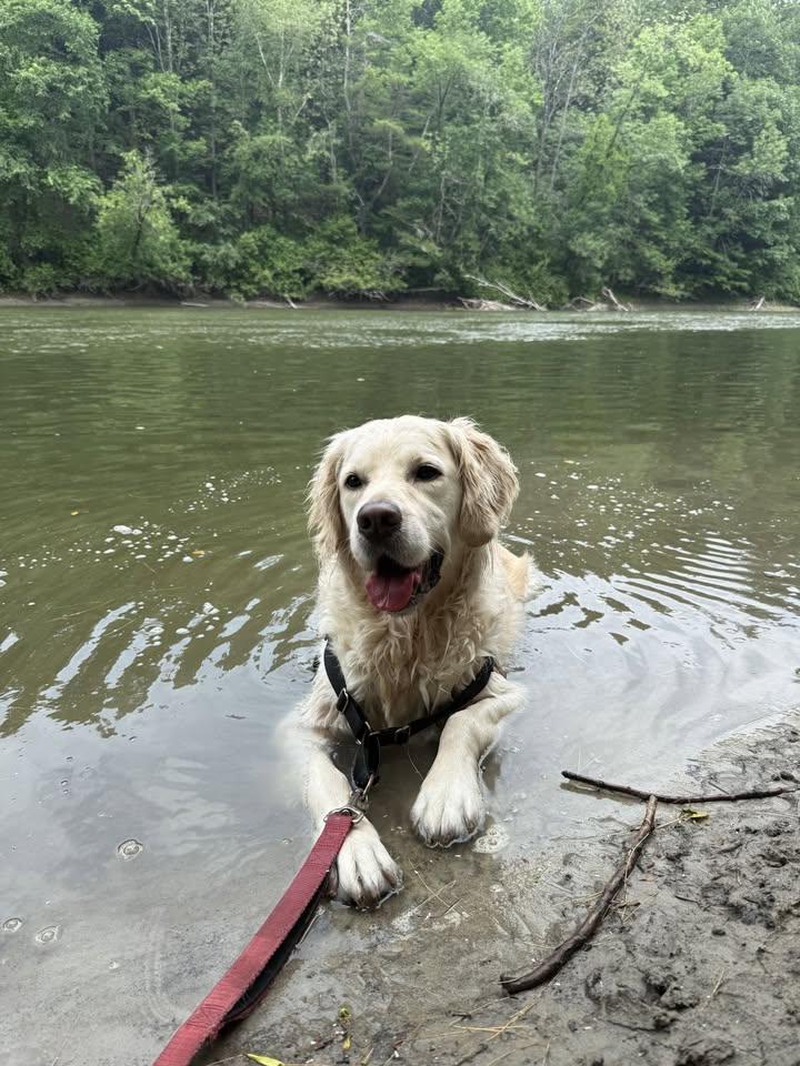  for Gallagher's Plastering in Covington, KY