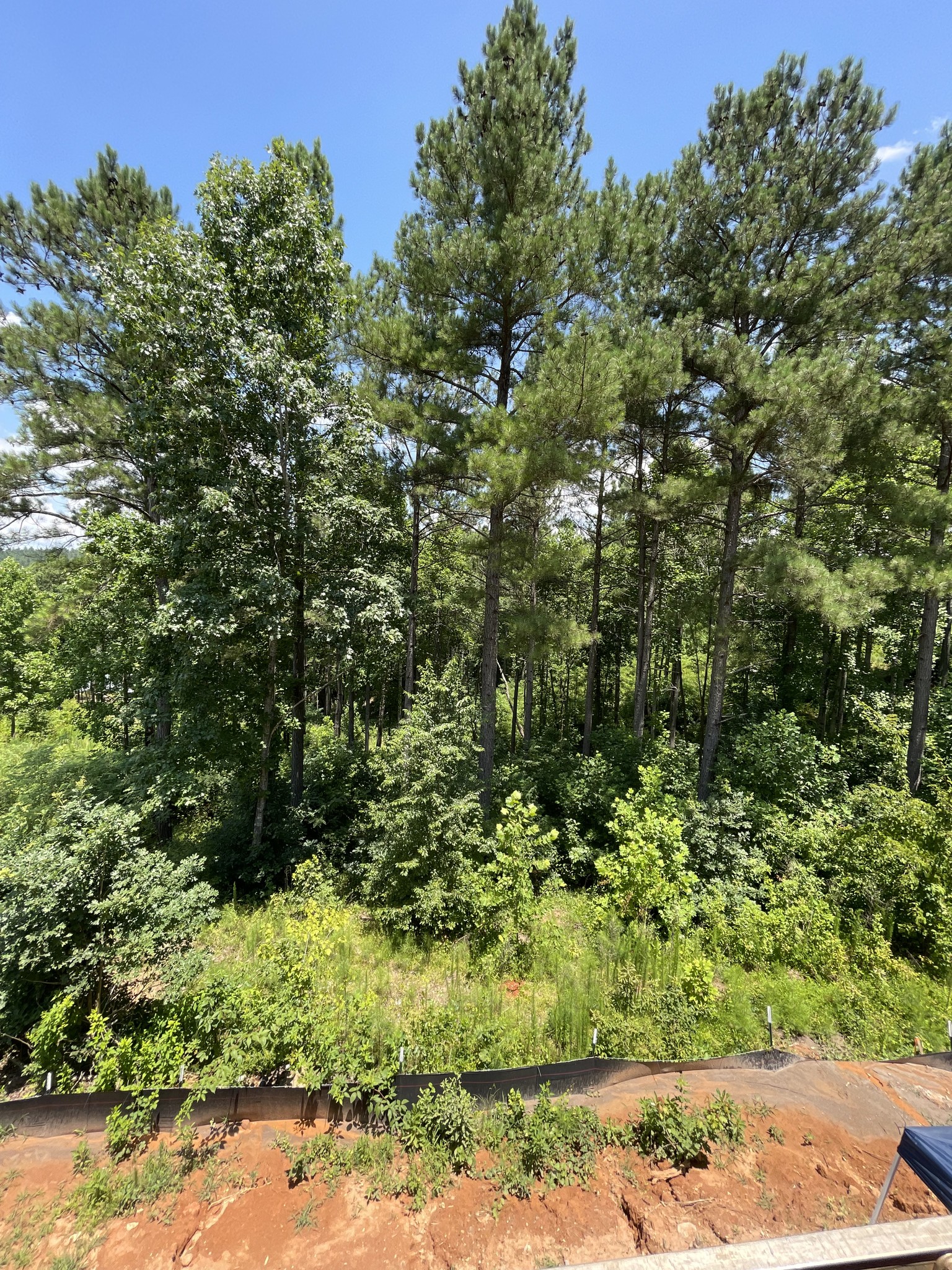 Stem Tree Service team in Belmont, NC - people or person