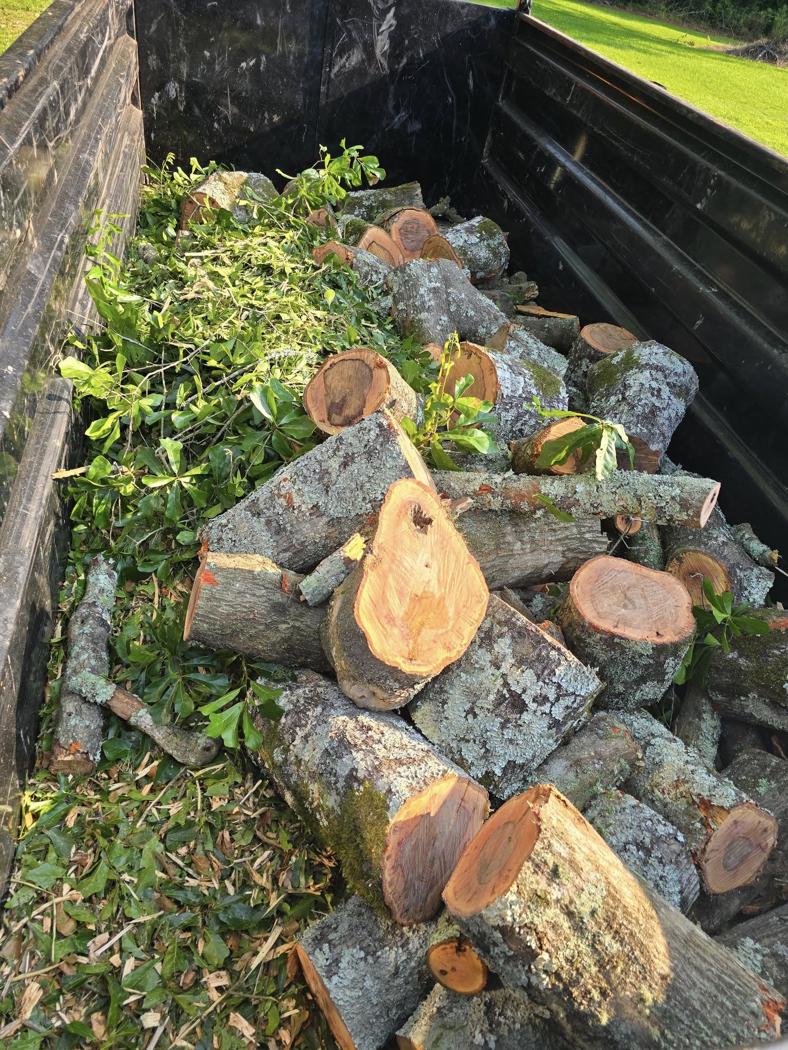 Tree Services company Breaktime Tree Trimming & Removal in Oakdale, LA