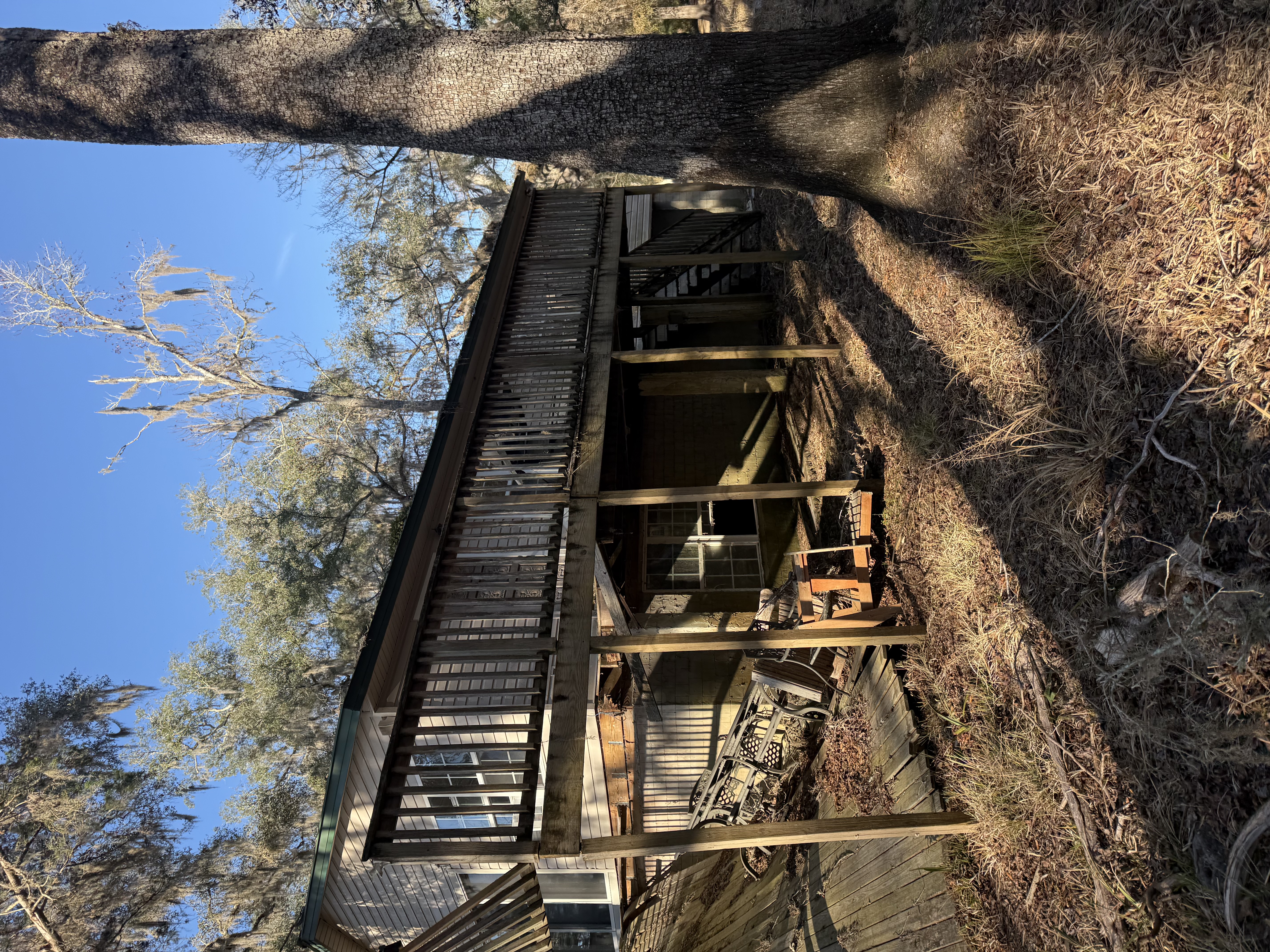  for Warners Tree Solutions in Live Oak, FL