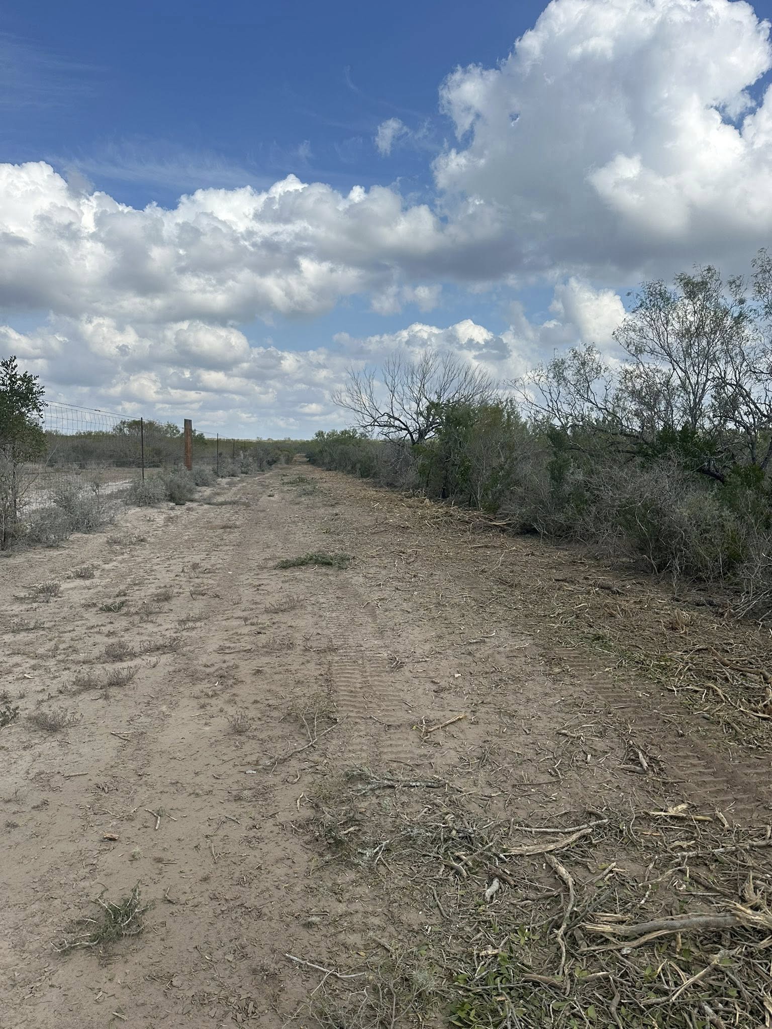  for Strause Land Improvement & Construction in George West, TX