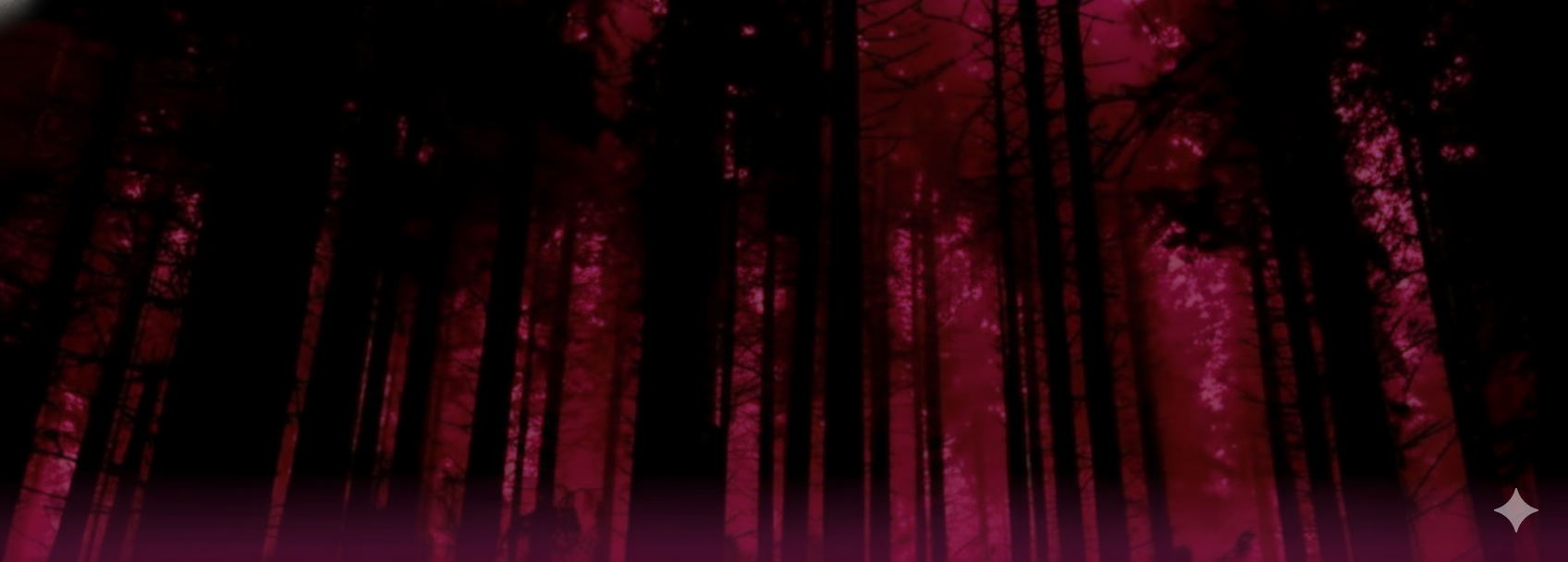 cover-photo