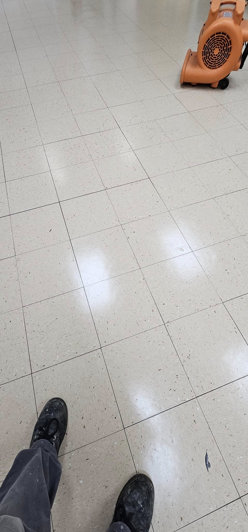  for Casia Cleaning Services in Queens, NY