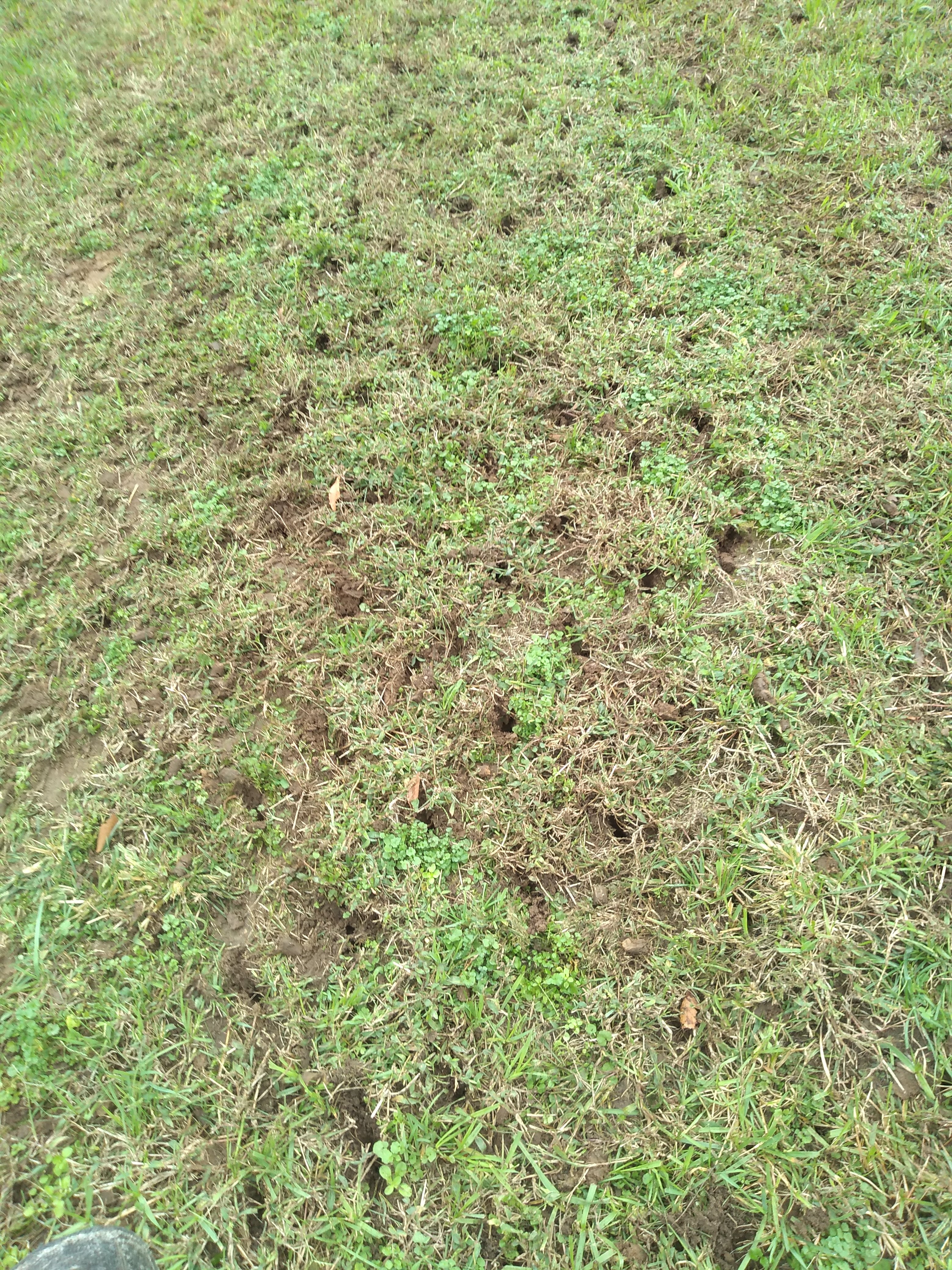  for Sam I AM Property Solutions in Sunderland, MD