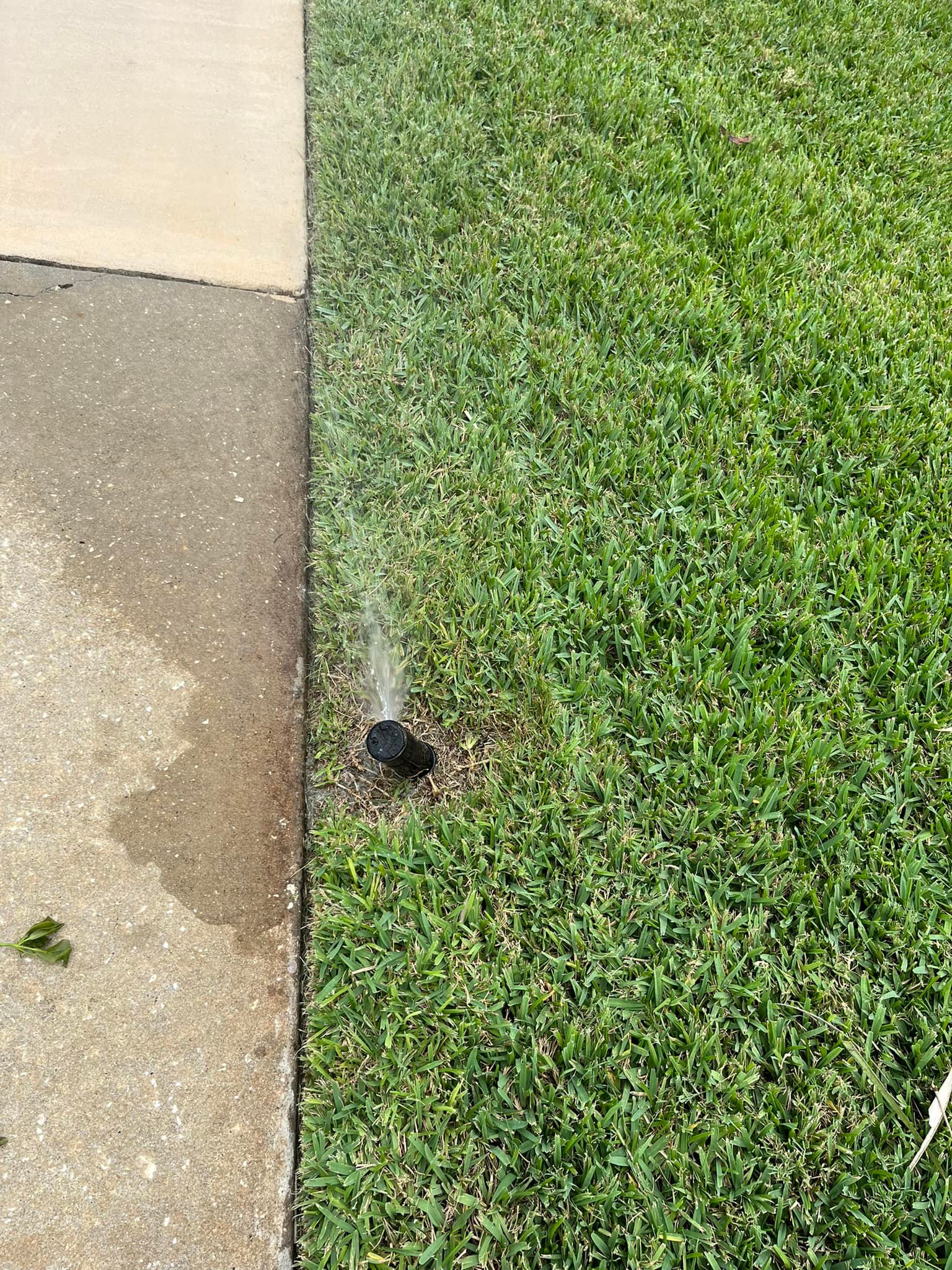  for Aside from the Rest in Port Orange, FL