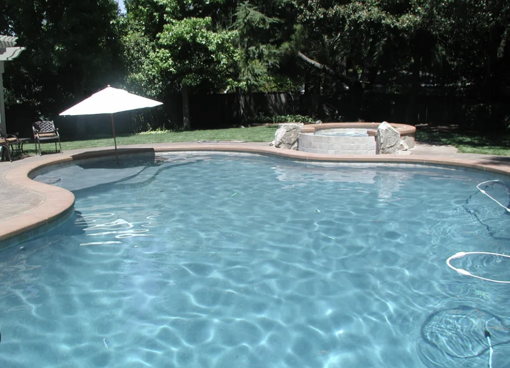  for Blue Bay Pools in Tampa, FL