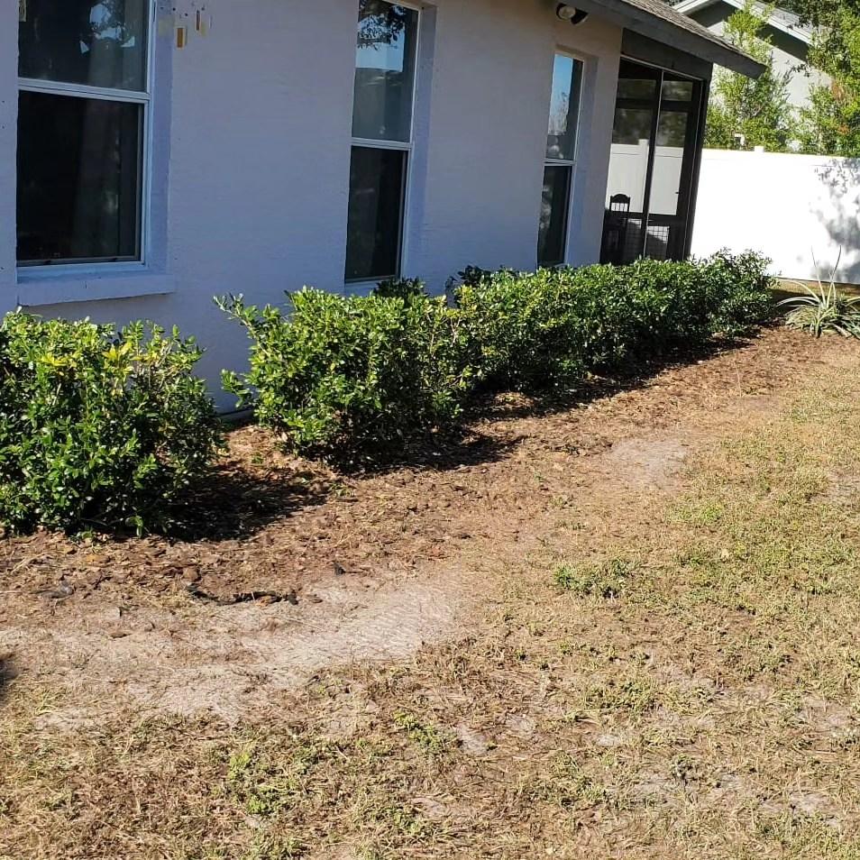  for 1 Friendly Lawn Service  in Tampa, FL