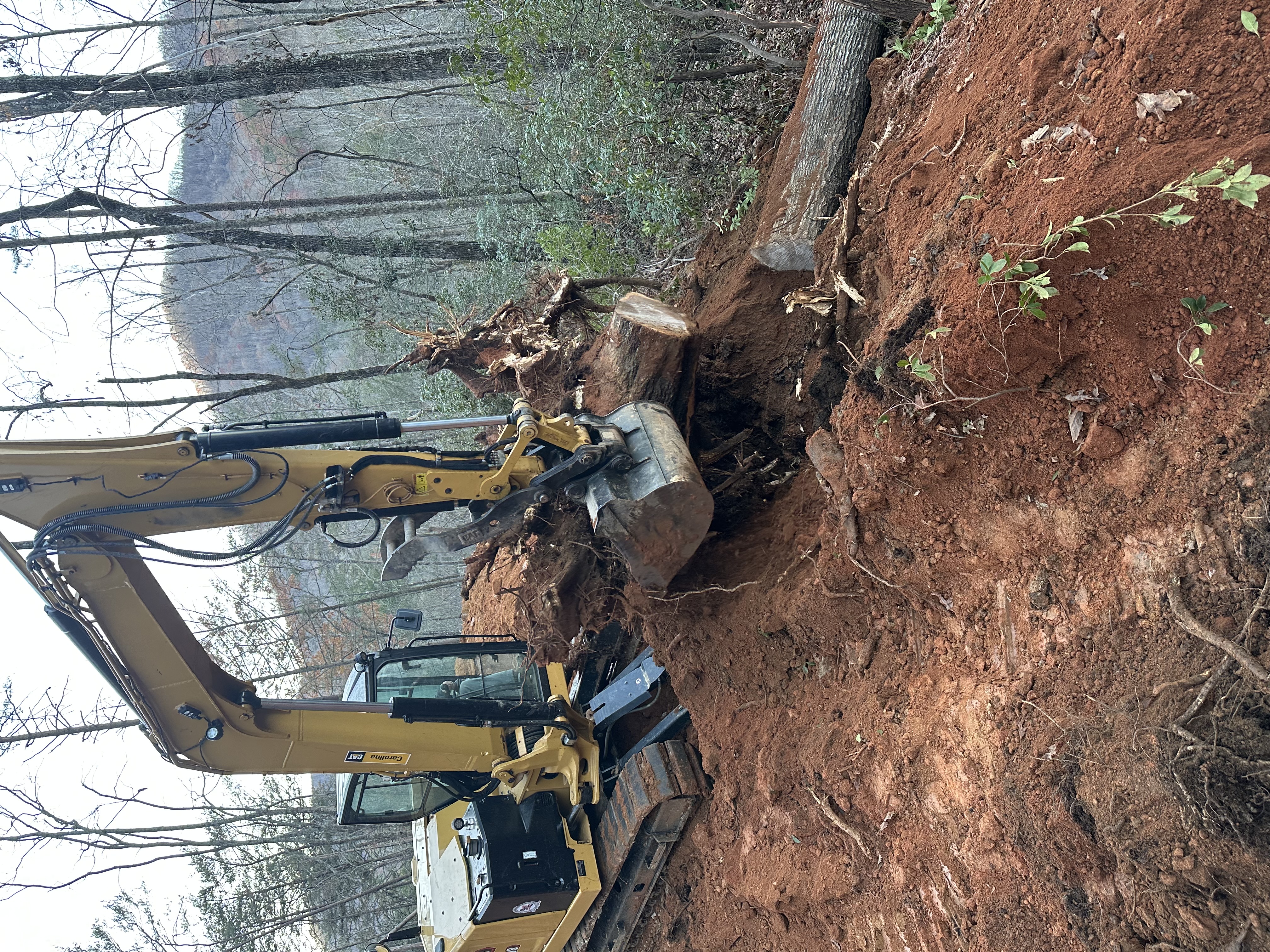  for Stines and Company  in Rutherfordton, NC