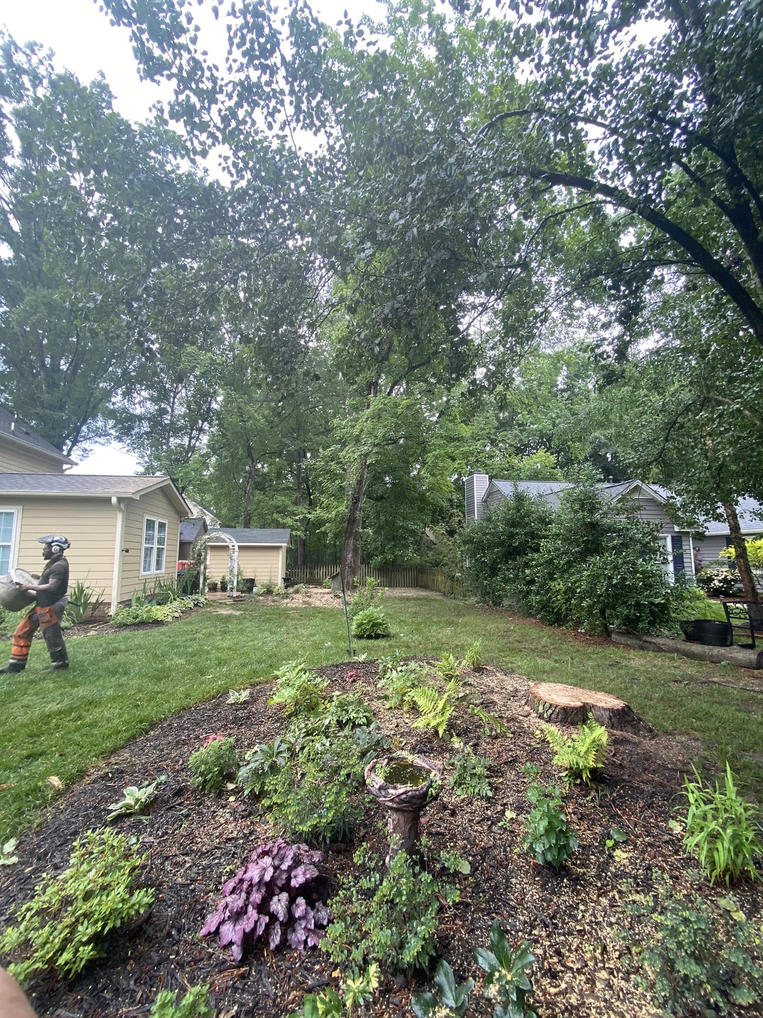 Tree Services company MTJ Tree Removal LLC in Zebulon, NC
