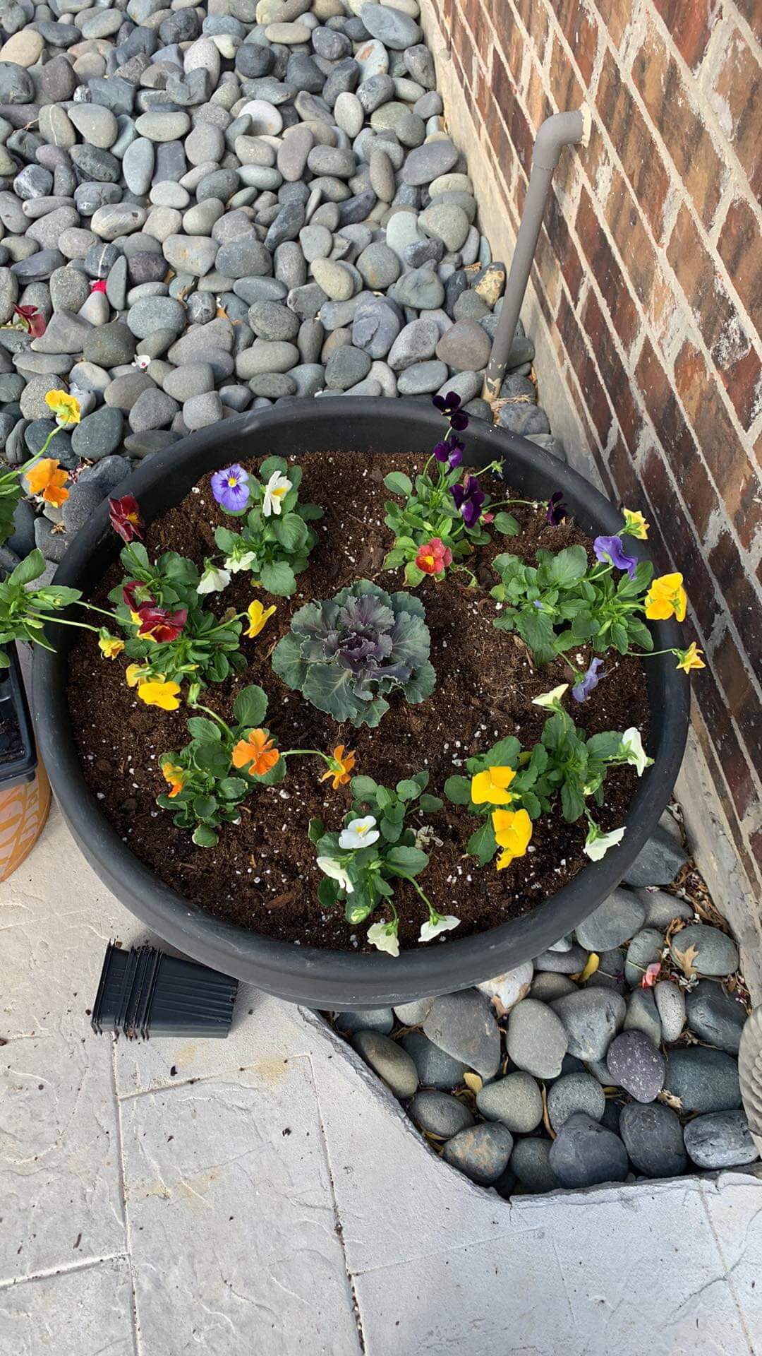  for Joandi's Lawn & Landscaping Service in Haltom City, TX