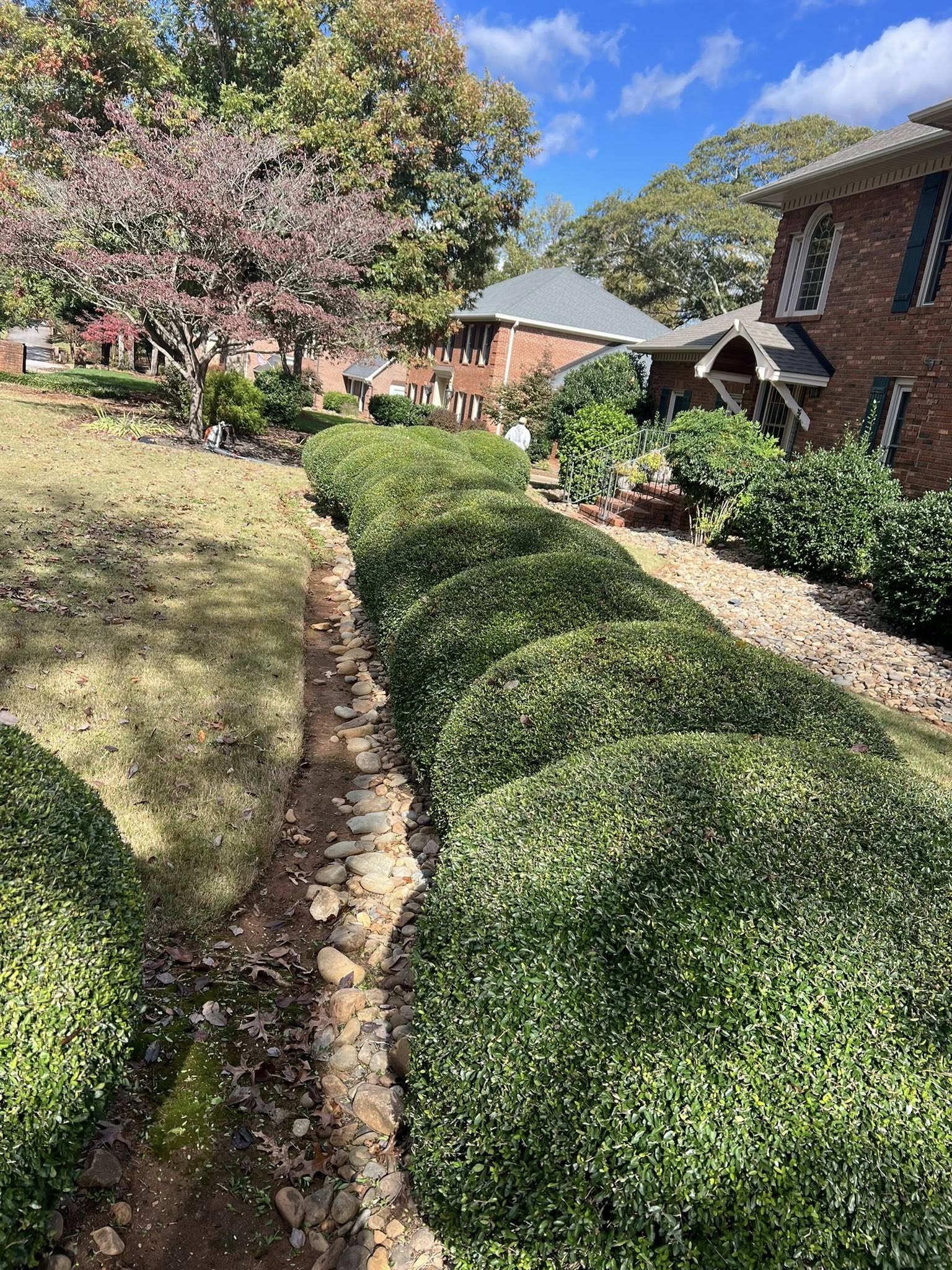  for Countryside lawn pros in Upstate, SC