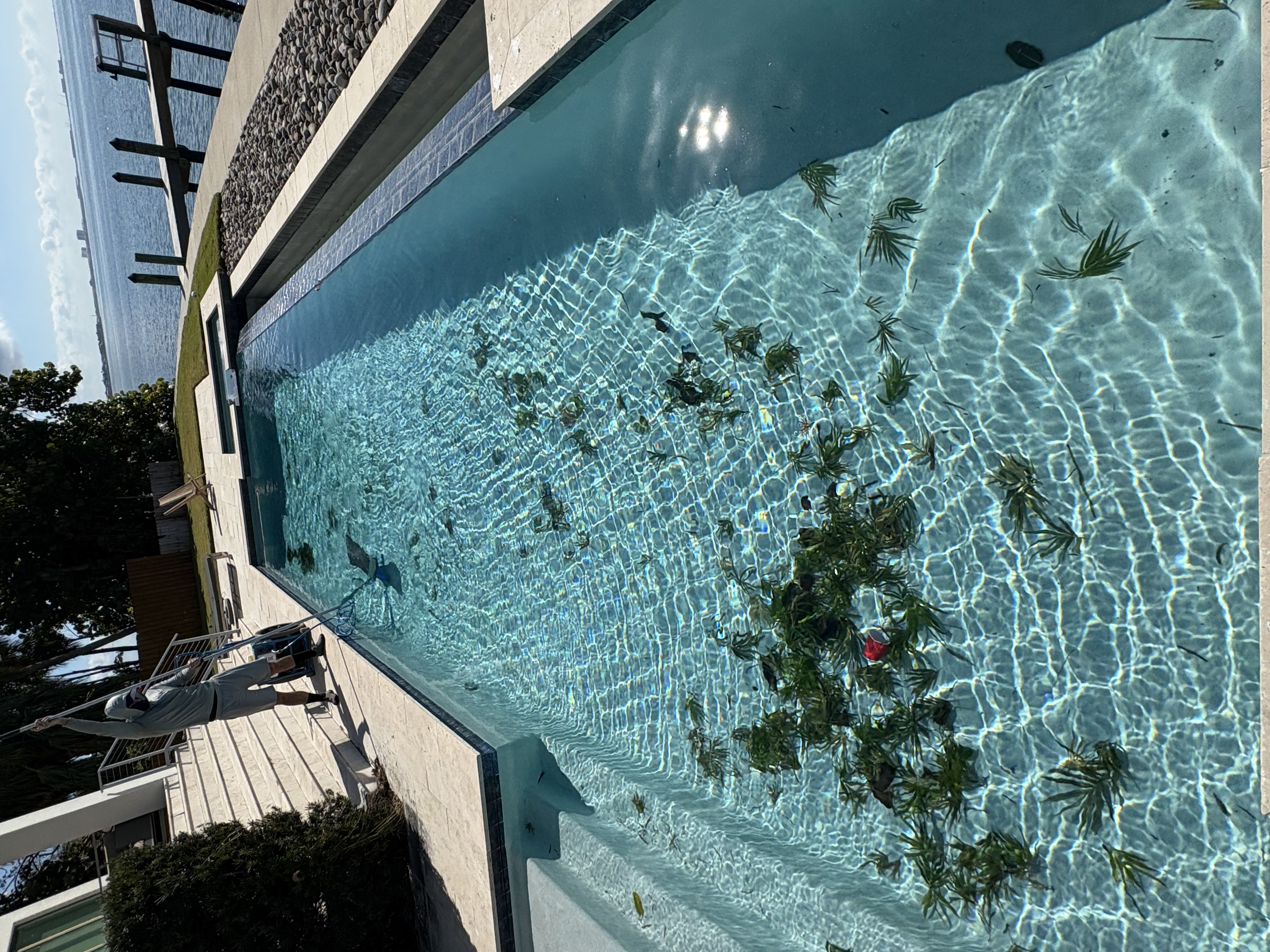  for Blue Bay Pools in Tampa, FL