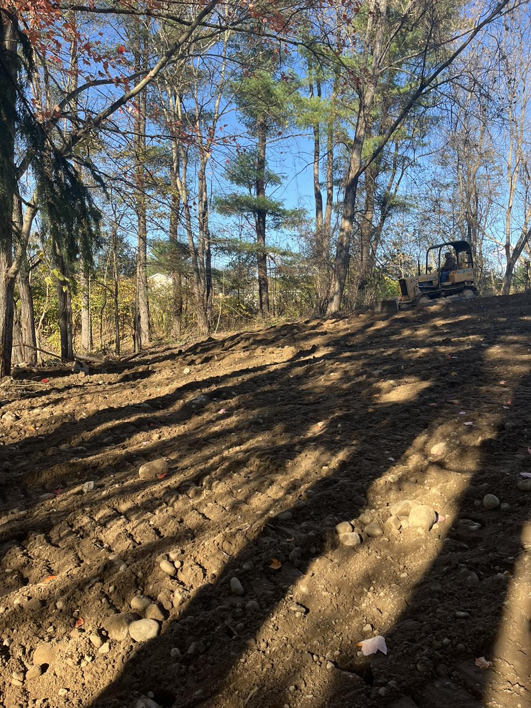  for Helfert Tree Service in Boonville, NY
