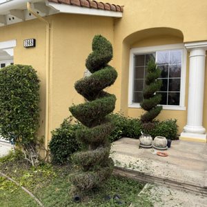  for CBA Landscaping in Hayward, CA