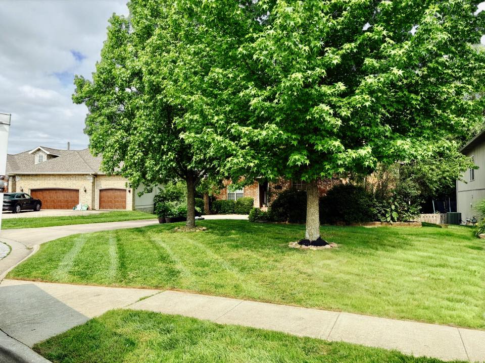  for Mowraculous in Republic, MO