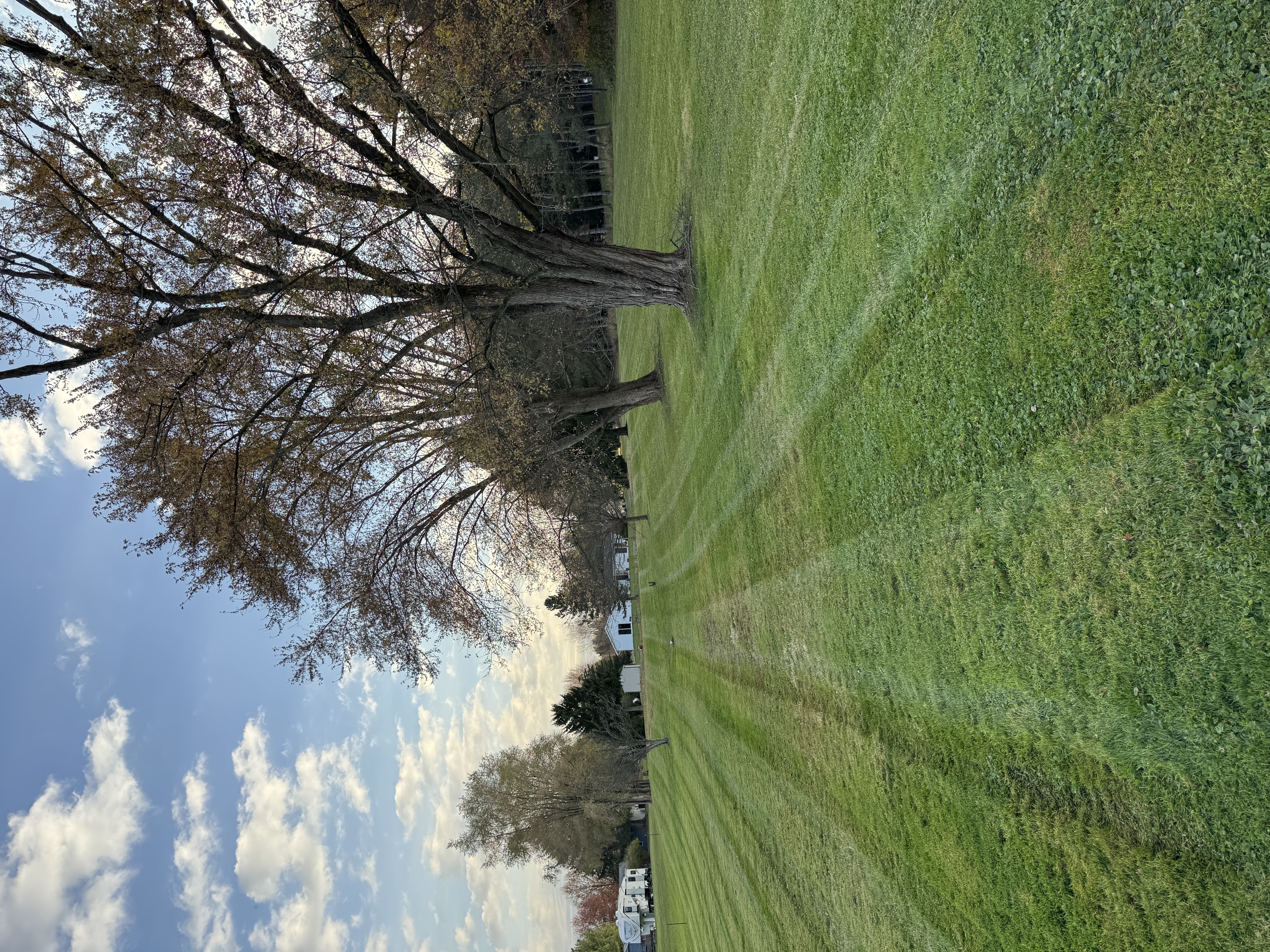  for Vasel's Landscaping Services in Medina, OH