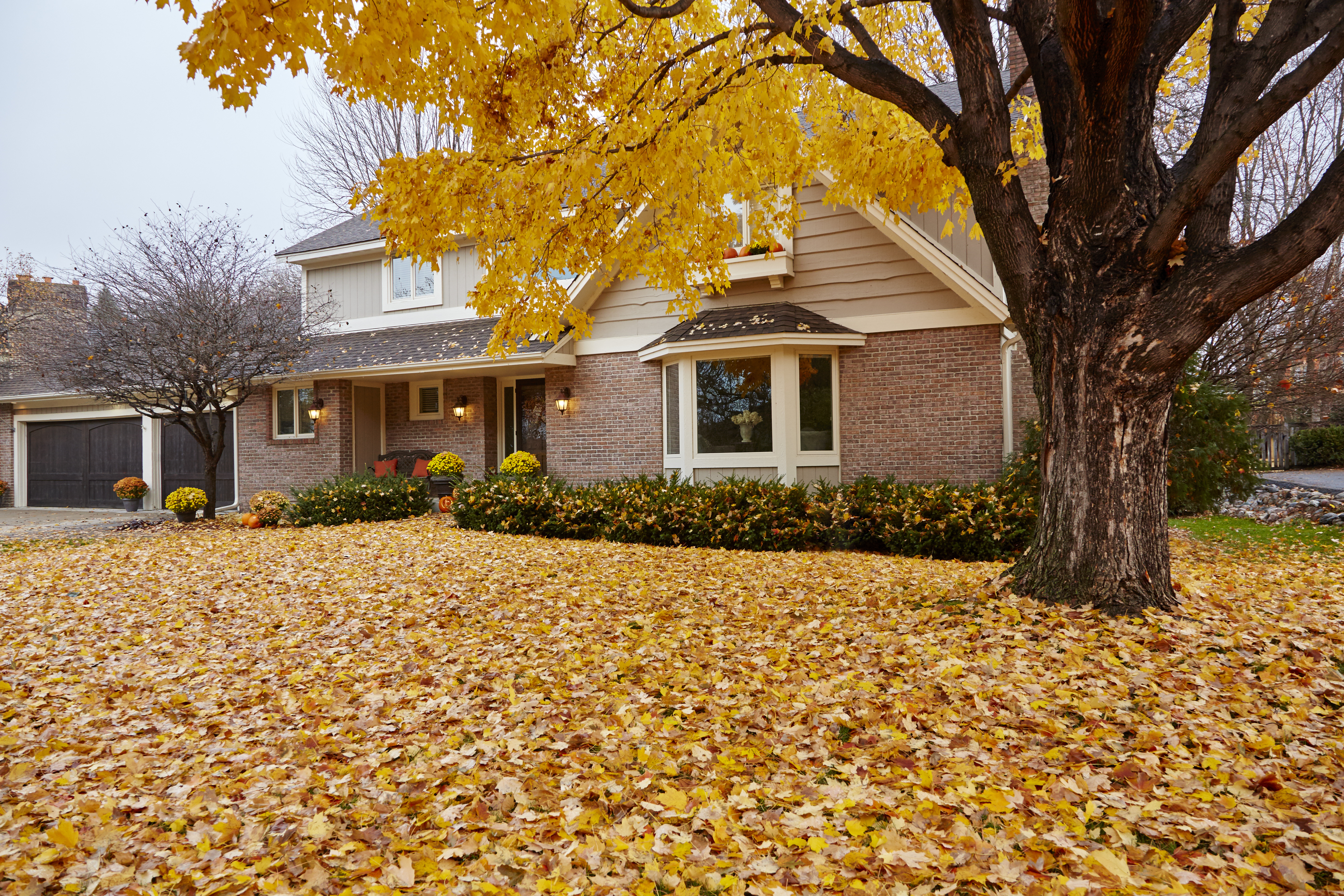  for Lane's Outdoor Solutions in Lexington, NC