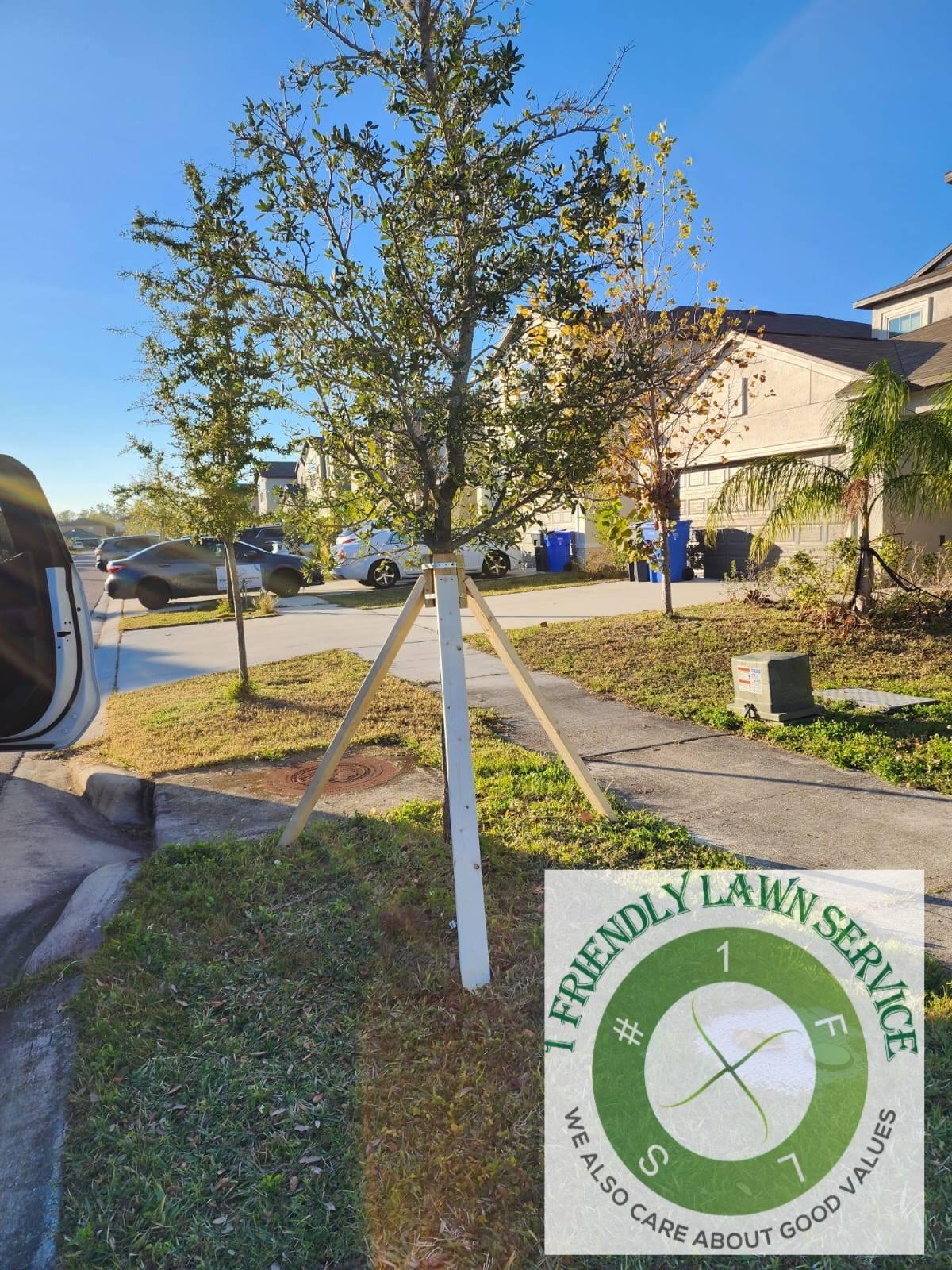  for 1 Friendly Lawn Service  in Tampa, FL