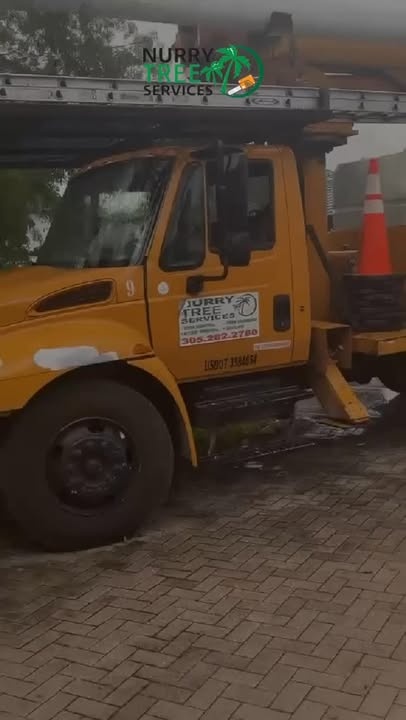  for Regional Land Construction in Miami, FL