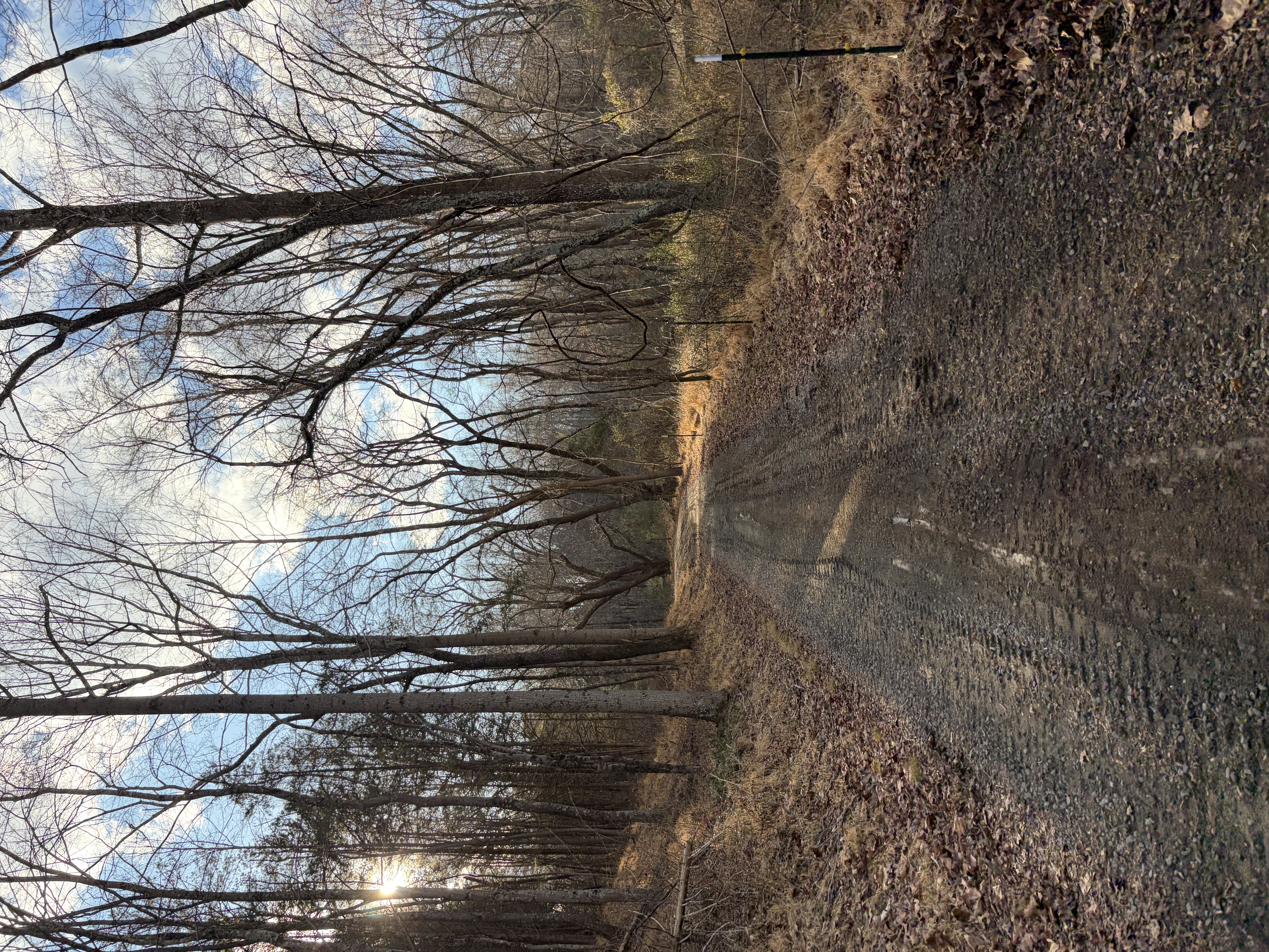  for 9999 Building and Renovation LLC in Warrenton, VA