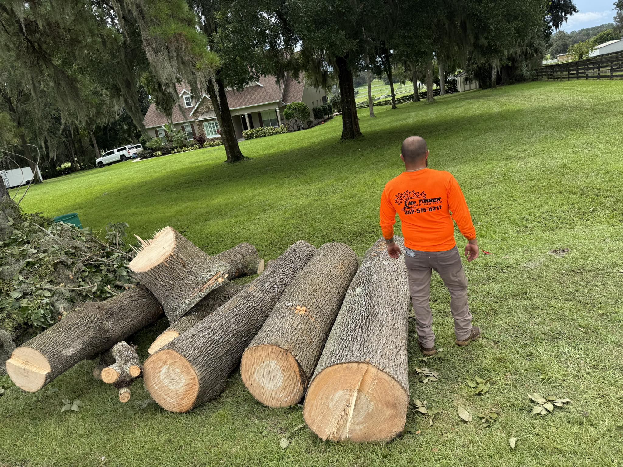  for Mr Timber in Ocala, FL