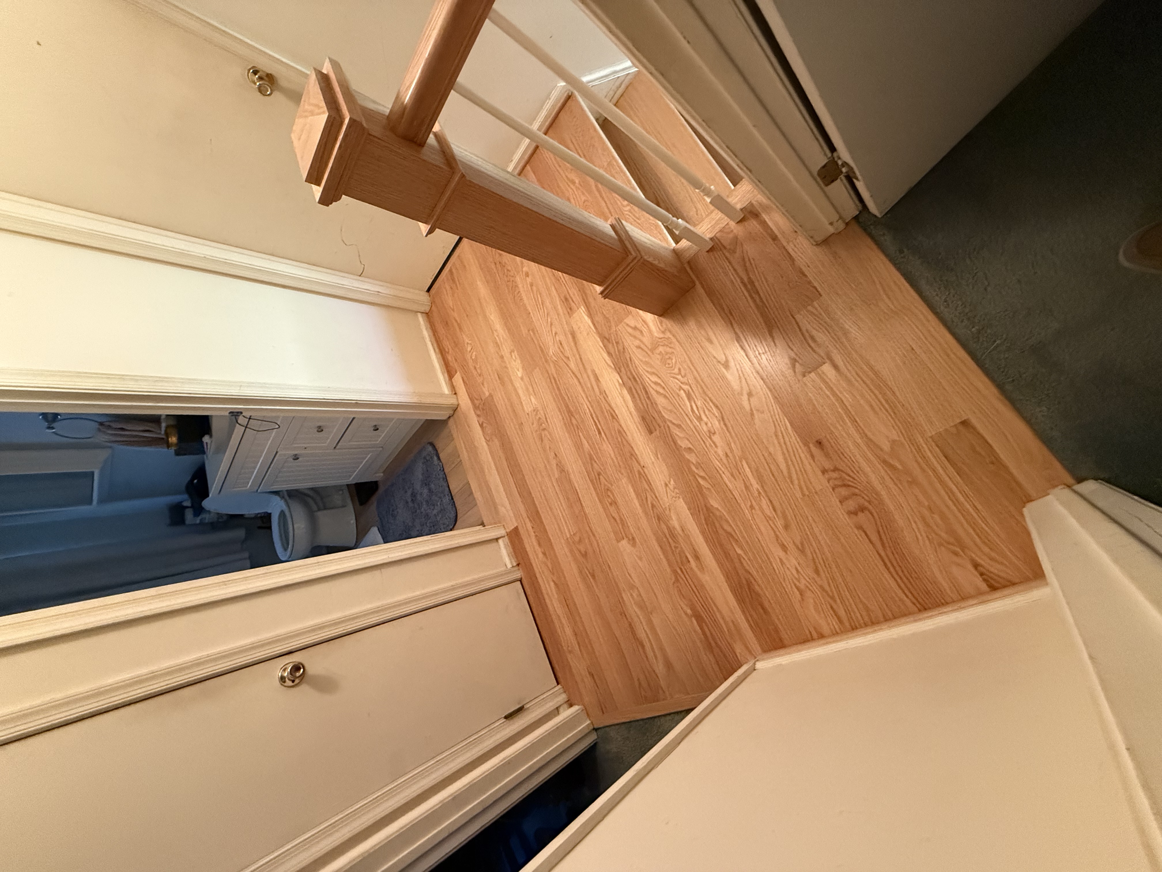  for Finely Finished LLC in Wyoming, DE