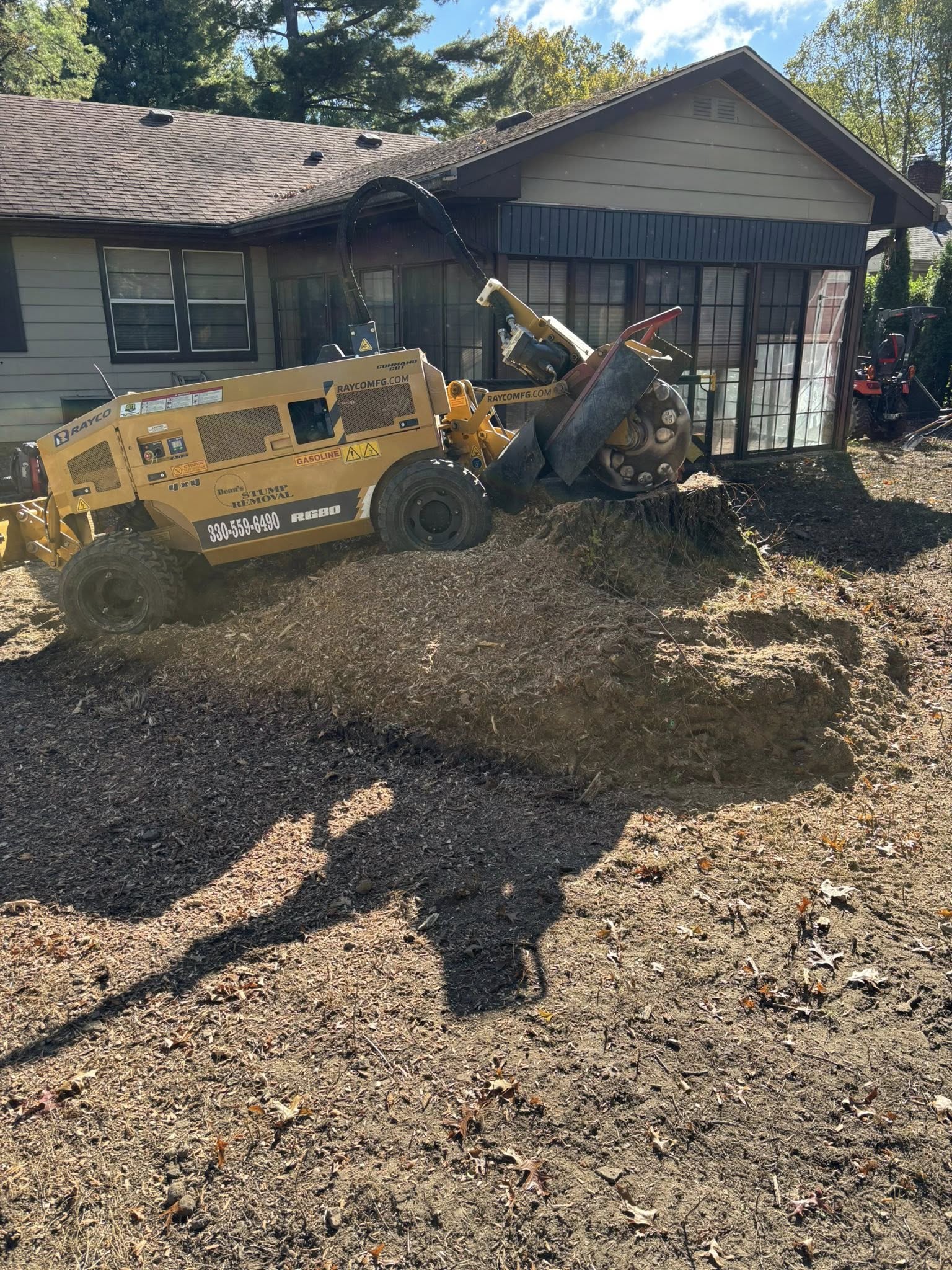 Tree Service company Dean's Stump Removal in Youngstown, OH