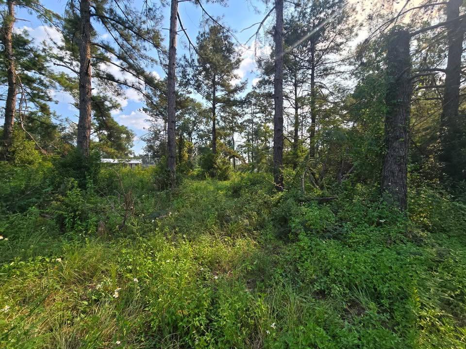  for Giles Land Management, LLC in Hahira, GA