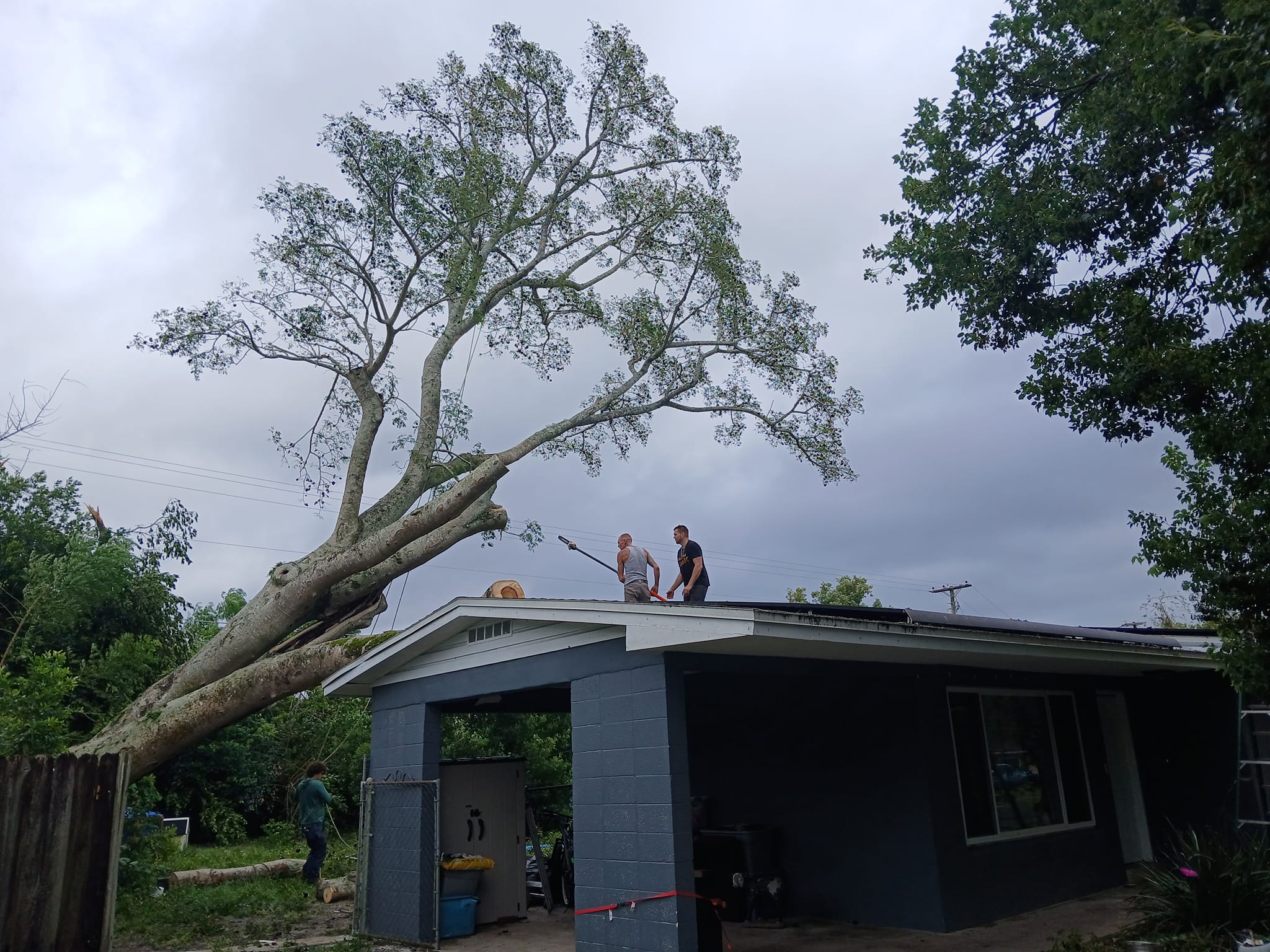  for A Southern Style Tree Service in Orlando, FL