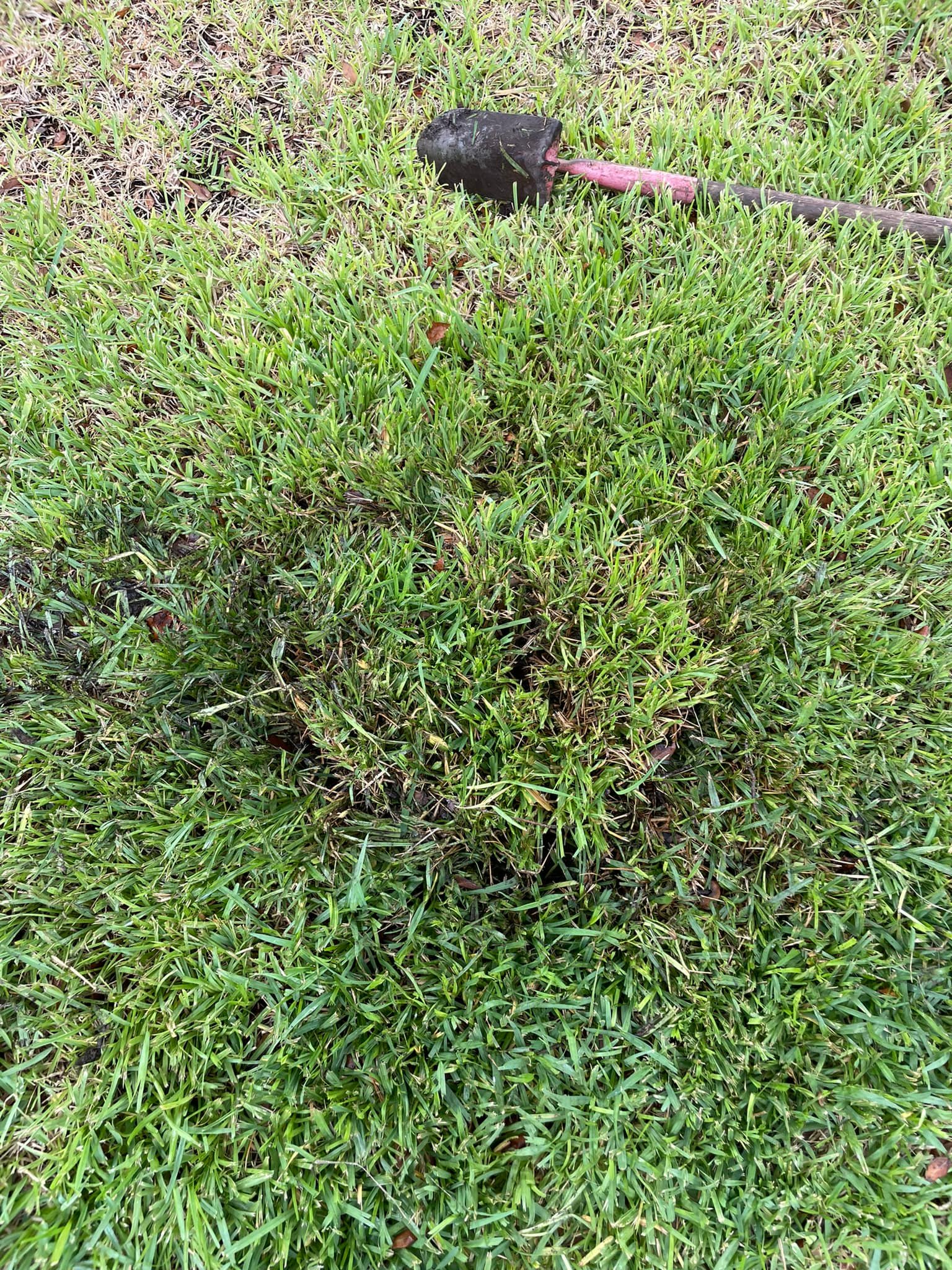  for Light Blue Irrigation in Austin, TX