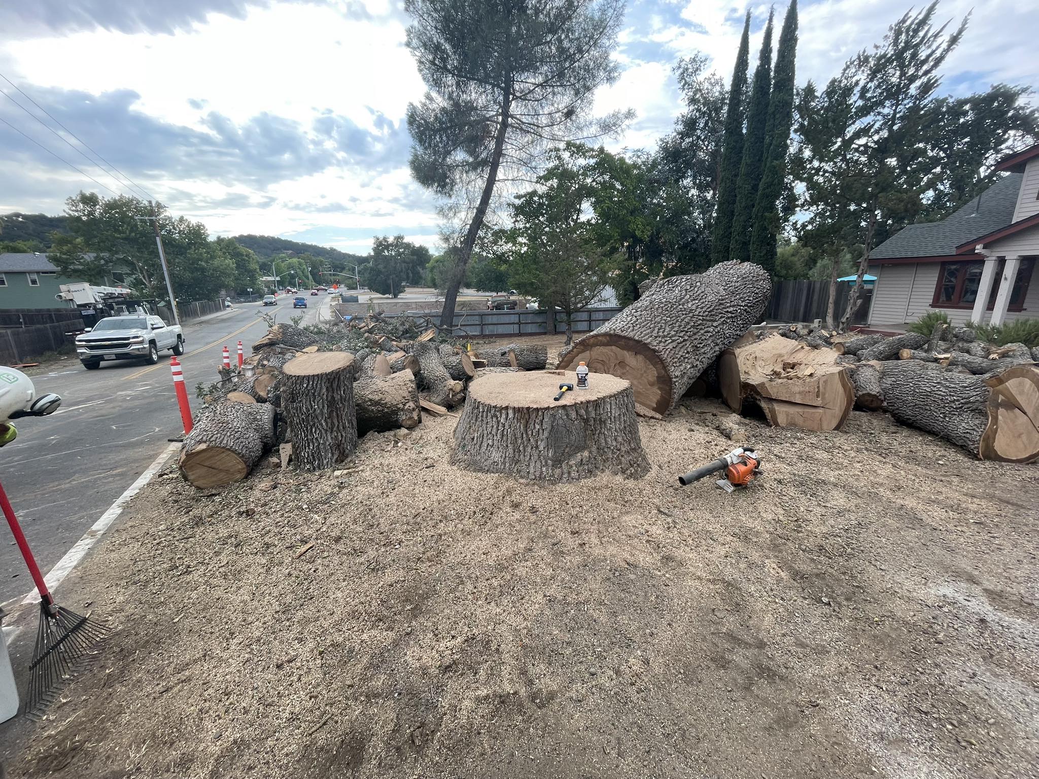tree services company A1 Junk & Tree Solutions, LLC in Paso Robles, CA