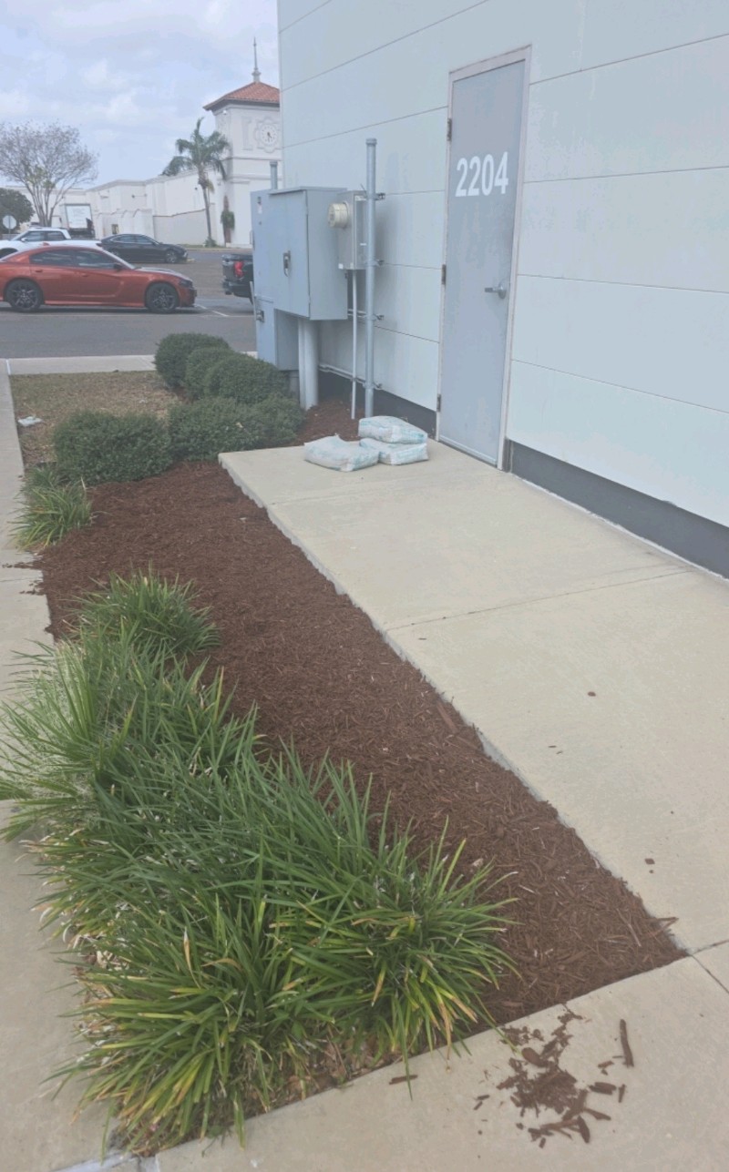  for Pro Lawn Care RGV in McAllen, TX