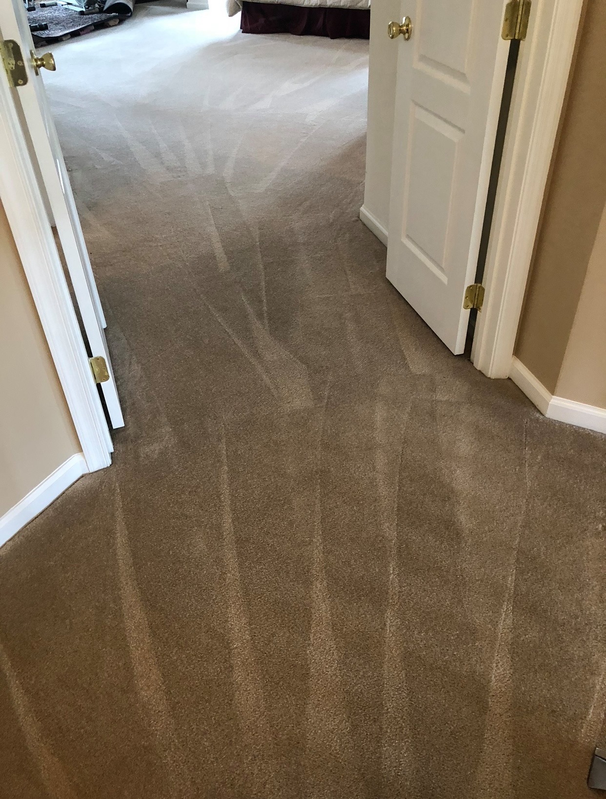 Banderas Cleaning Service team in Elsmere, DE - people or person