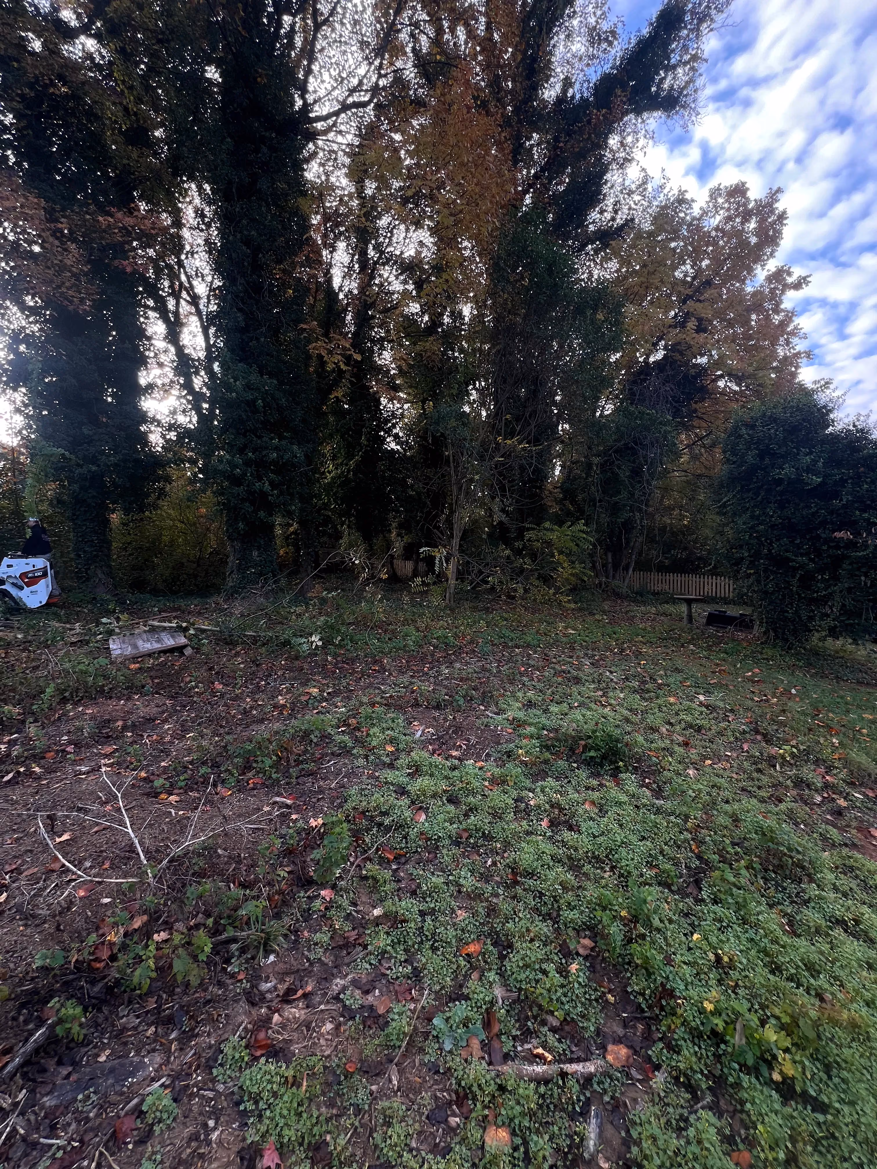Shed Removal and Full Backyard Cleanup Done Right