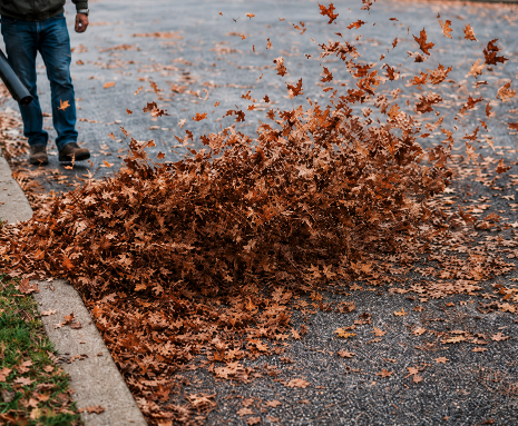 Spring and Fall Cleanups