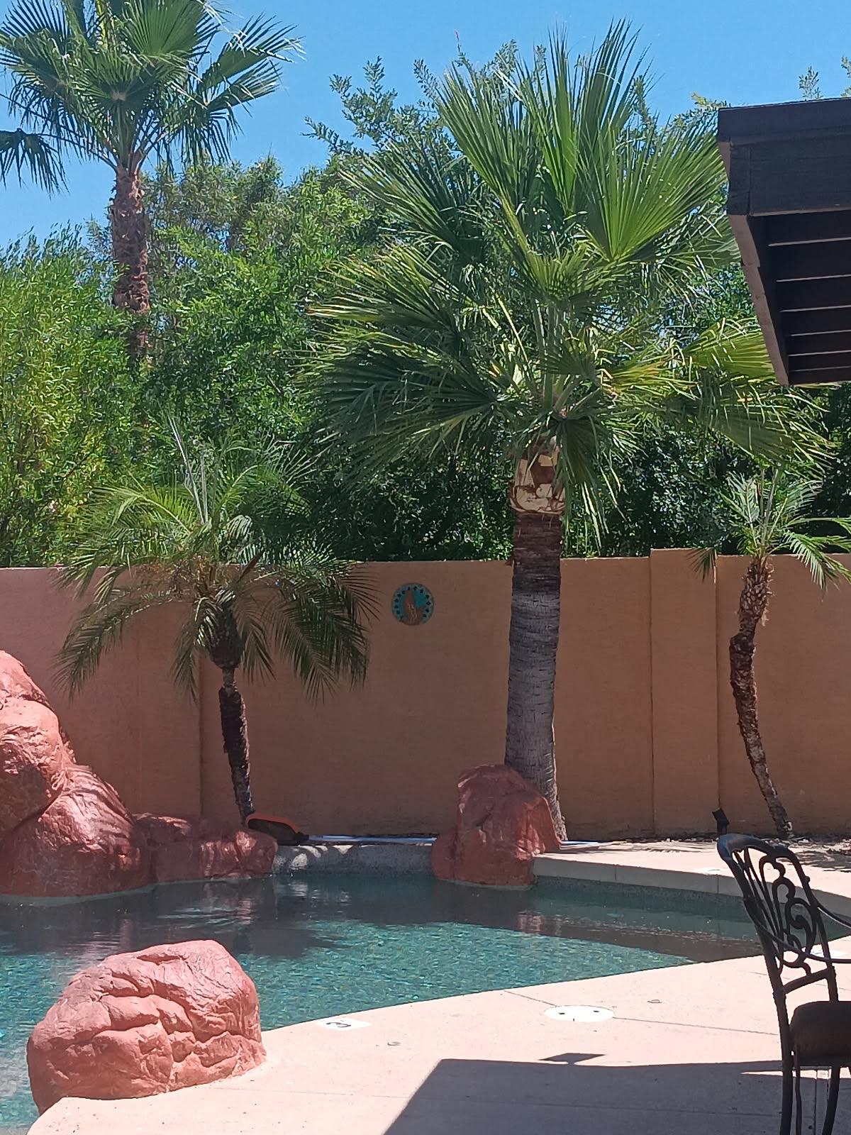  for Family Landscaping in Phoenix, AZ