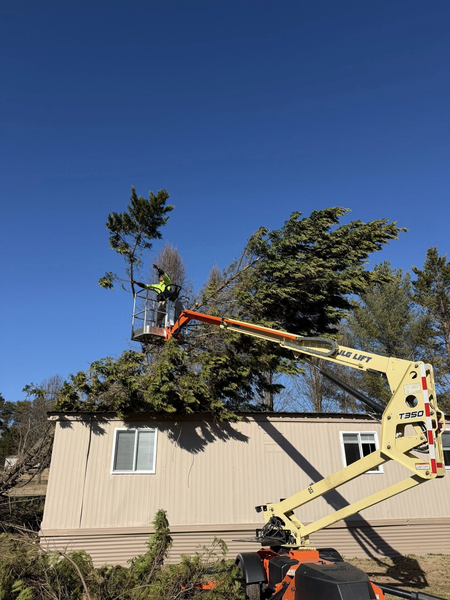  for Ramirez Tree Care in Elkin, NC