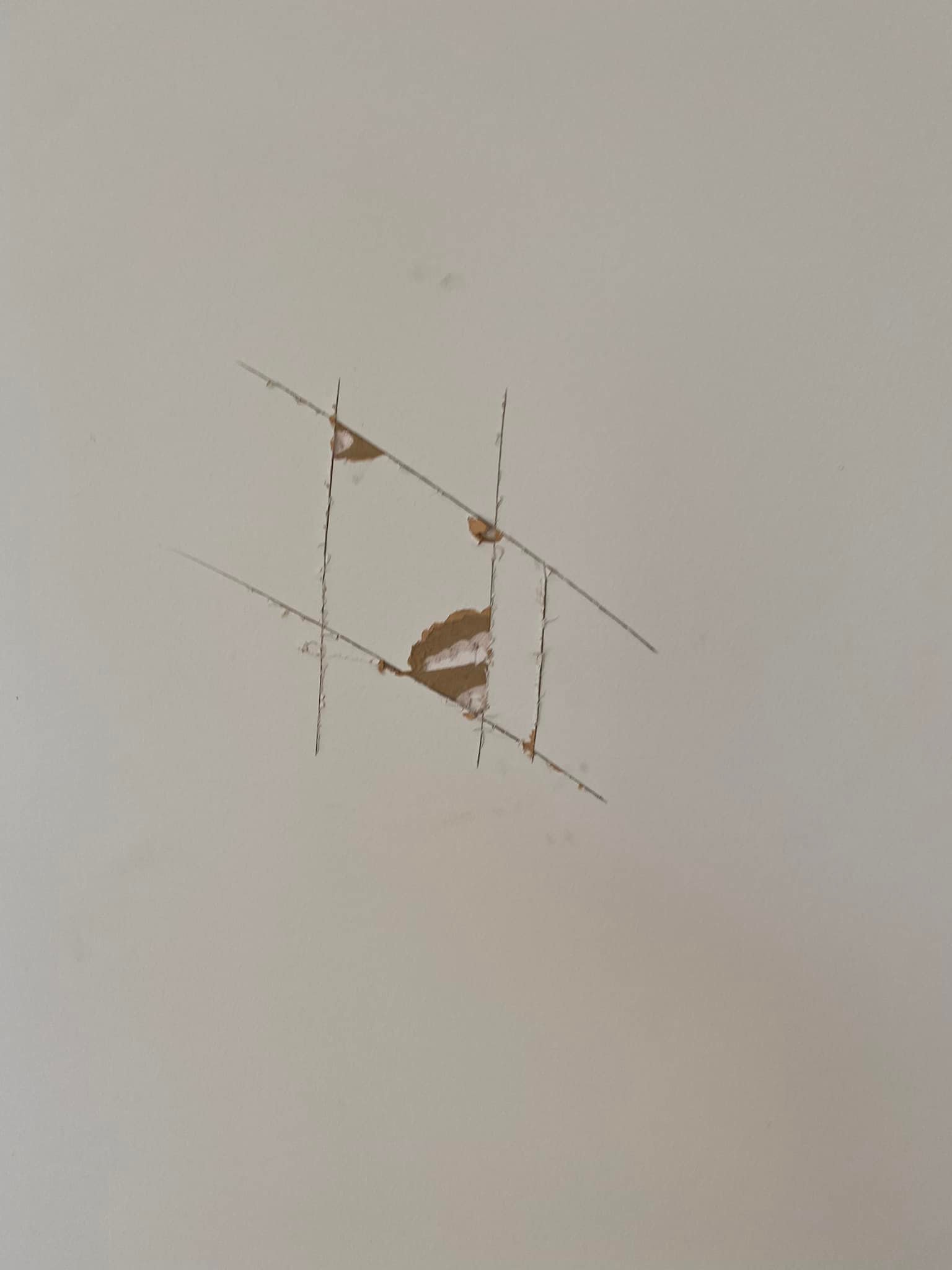  for Painting Concord LLC in New Castle, DE