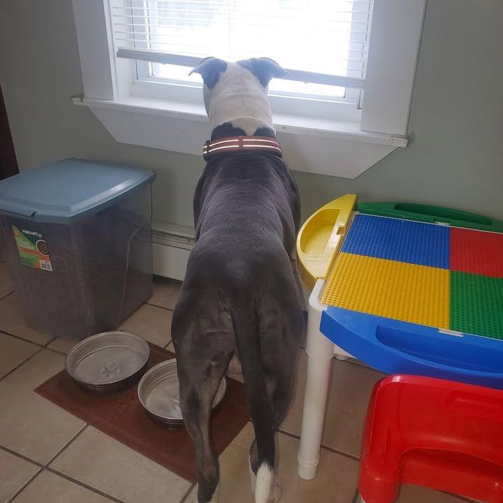  for Strange Soles in Boston, MA