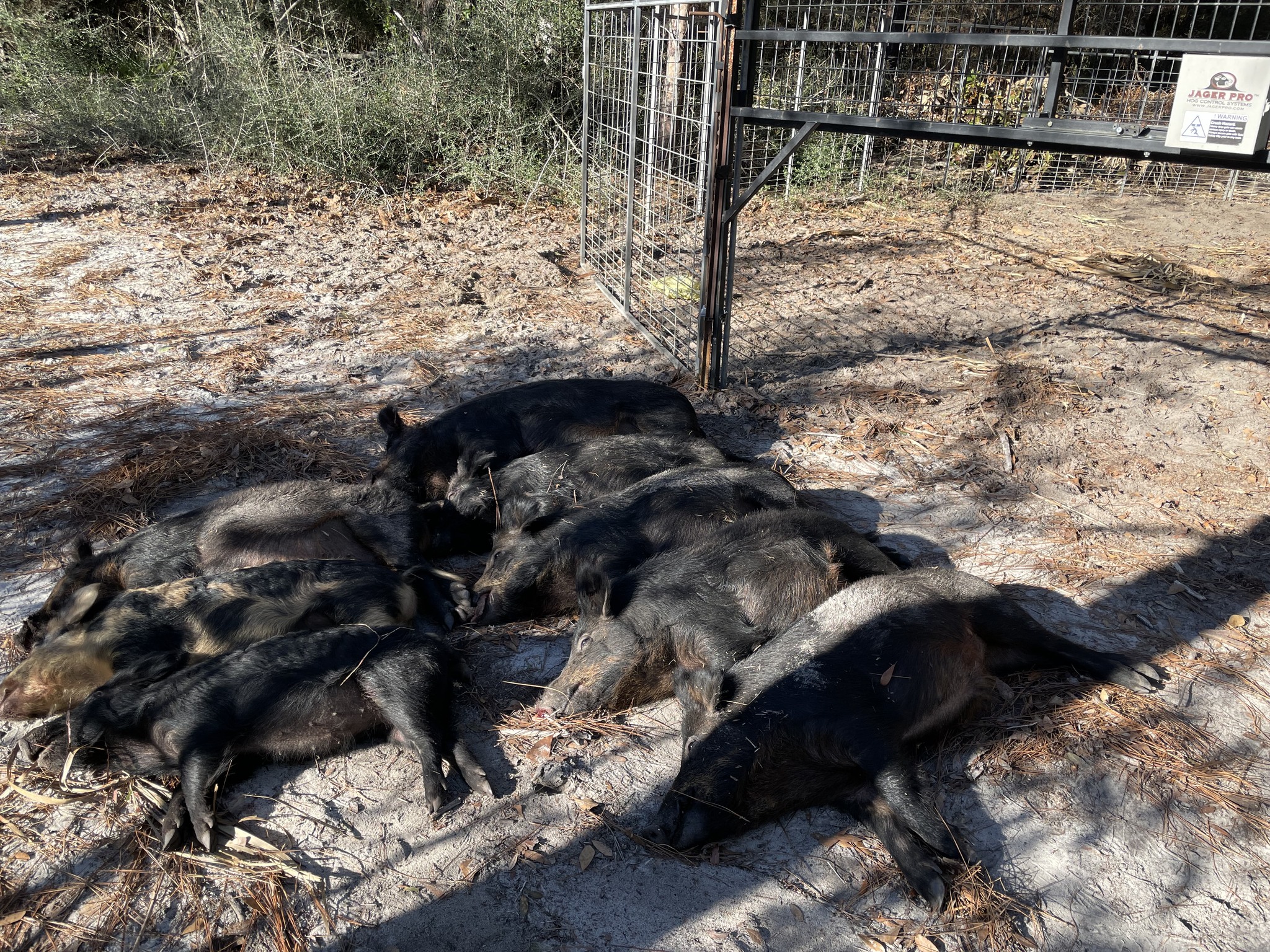  for Havoc Hog Control in Molino, FL