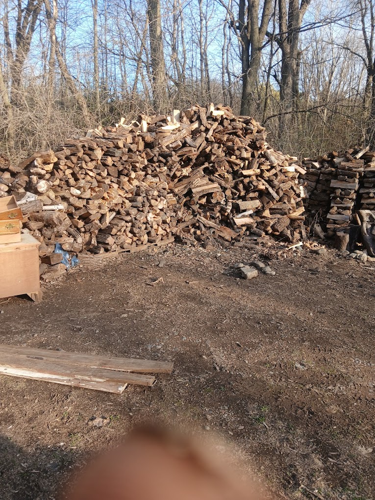  for Rockford Tree Specialist in Rockford, MN