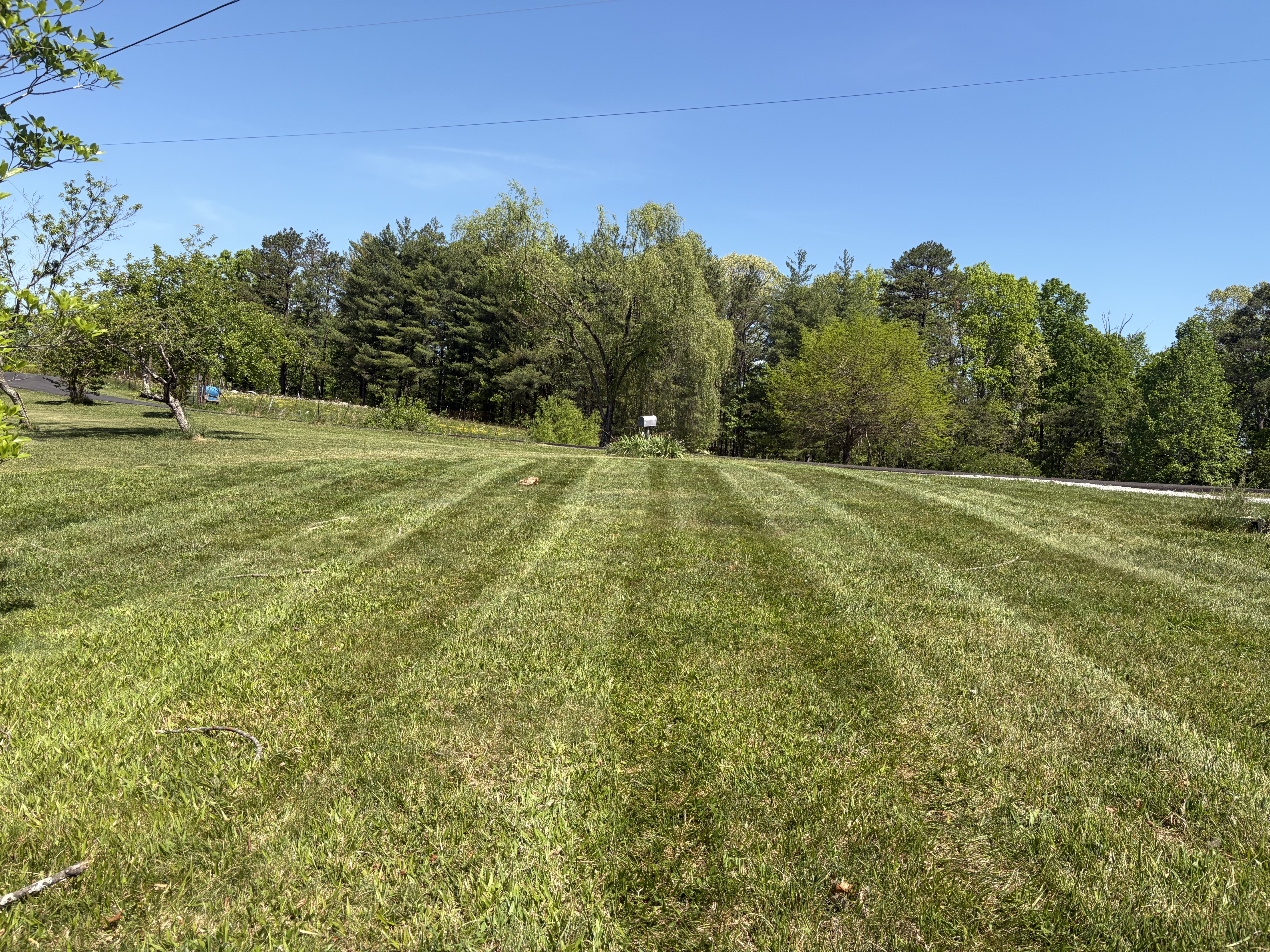 cover-photo