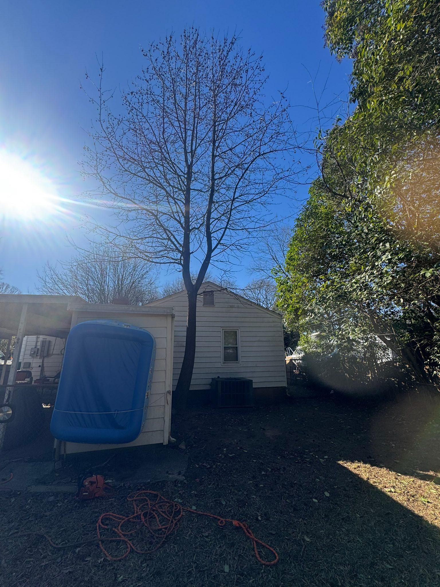  for Pedro's Tree Removal in Charlotte, NC